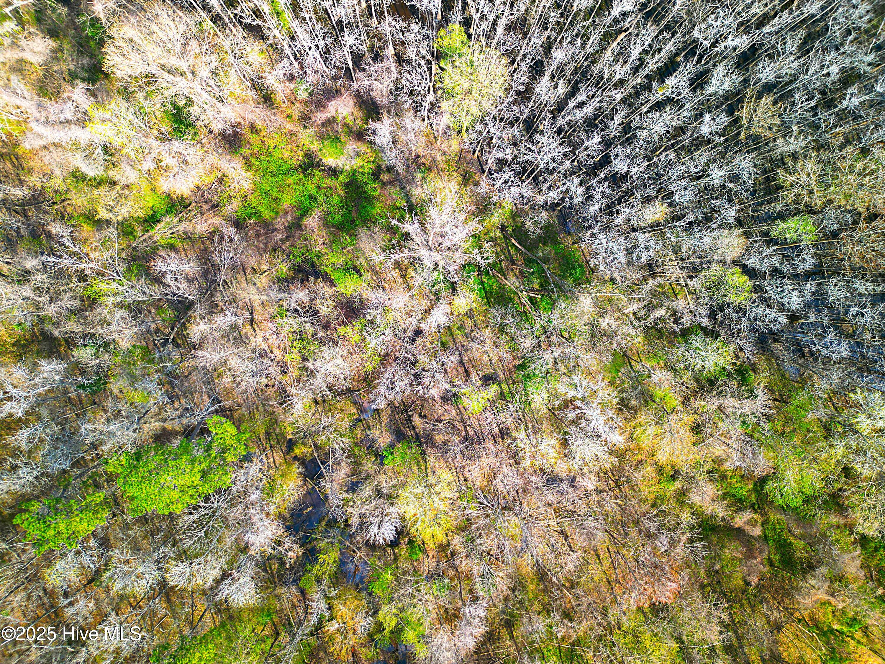 84 Acre Private Island, Cape Fear Rive Property Photo 33