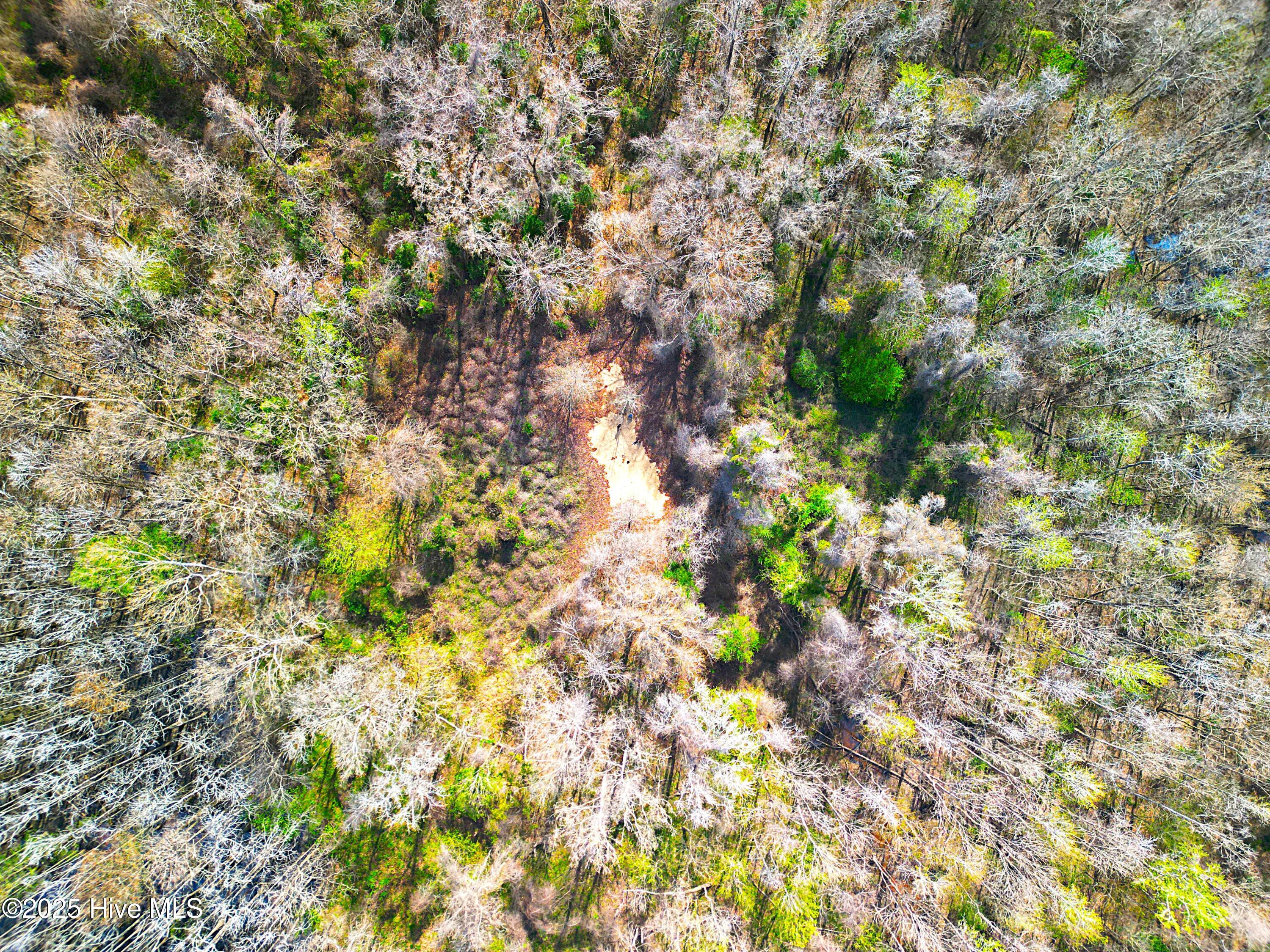 84 Acre Private Island, Cape Fear Rive Property Photo 34