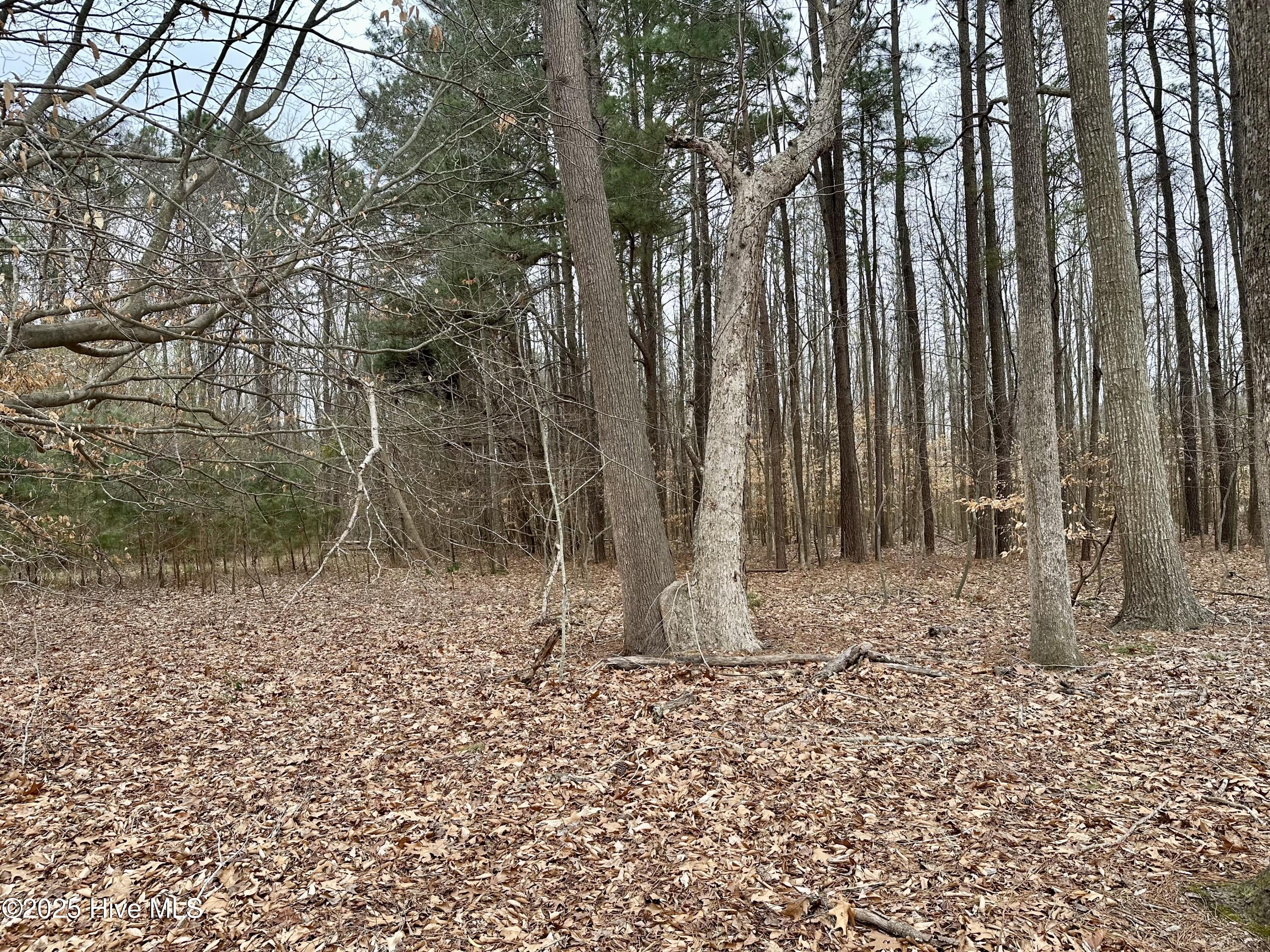 125 Salmon Creek Lane Property Photo 23