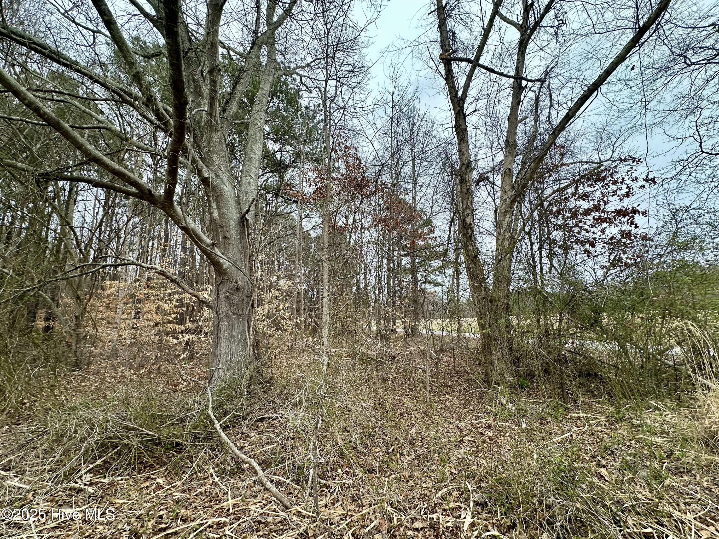 125 Salmon Creek Lane Property Photo 24