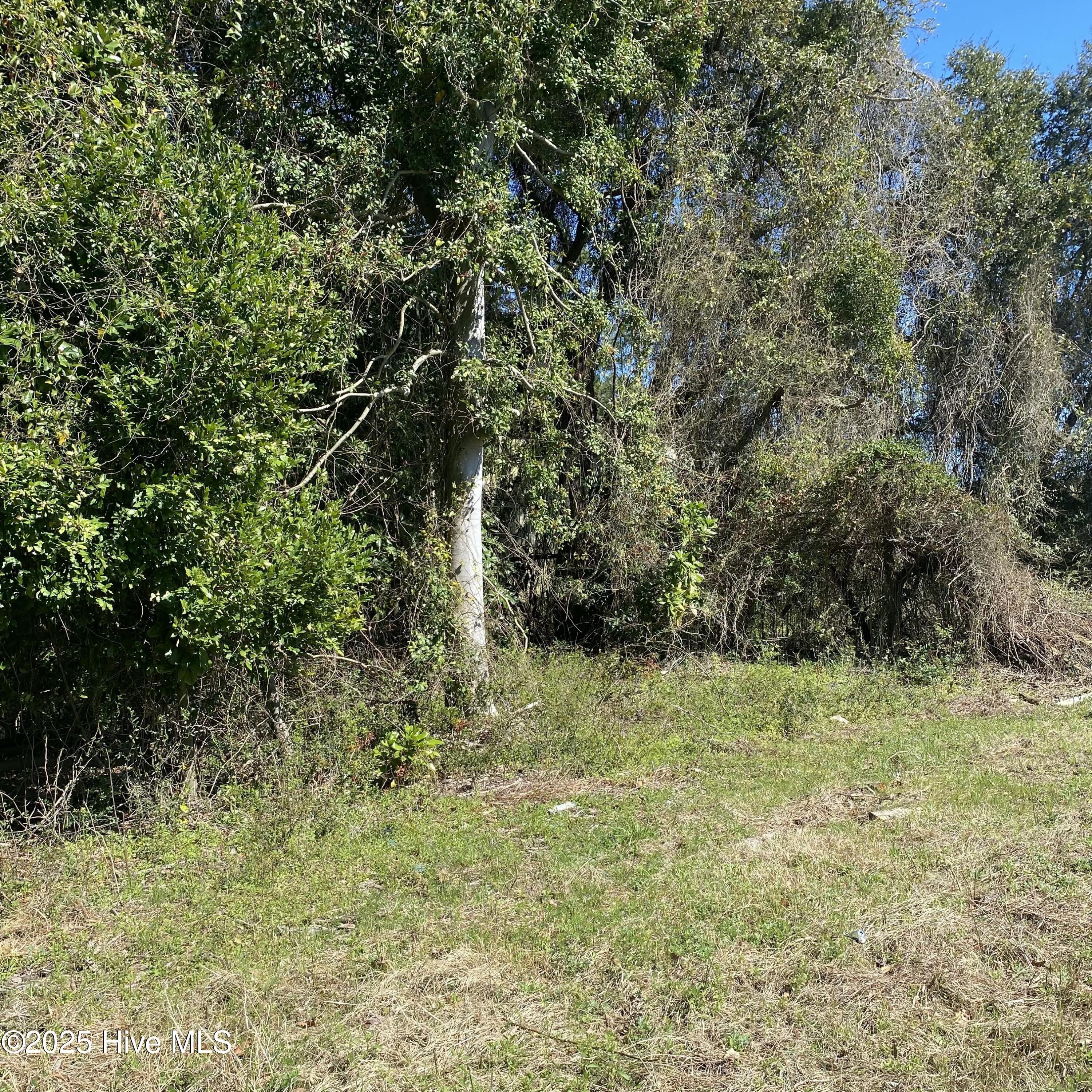 1638 Hwy 258 South Property Photo