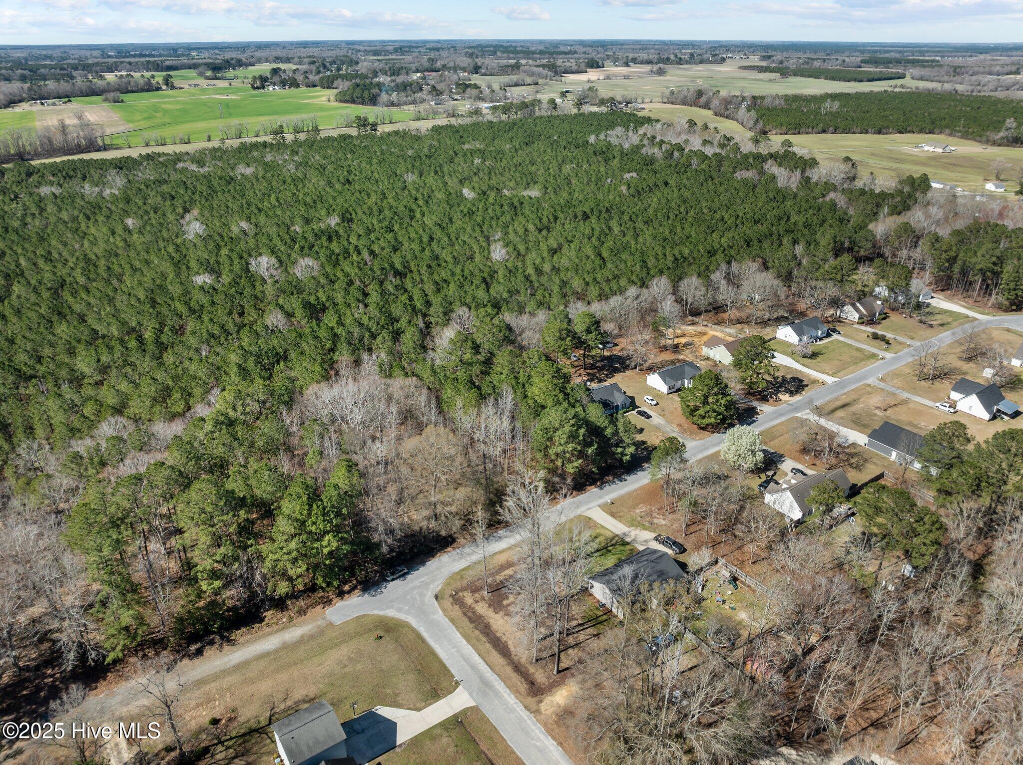 627 Massanutten Road Property Photo 10