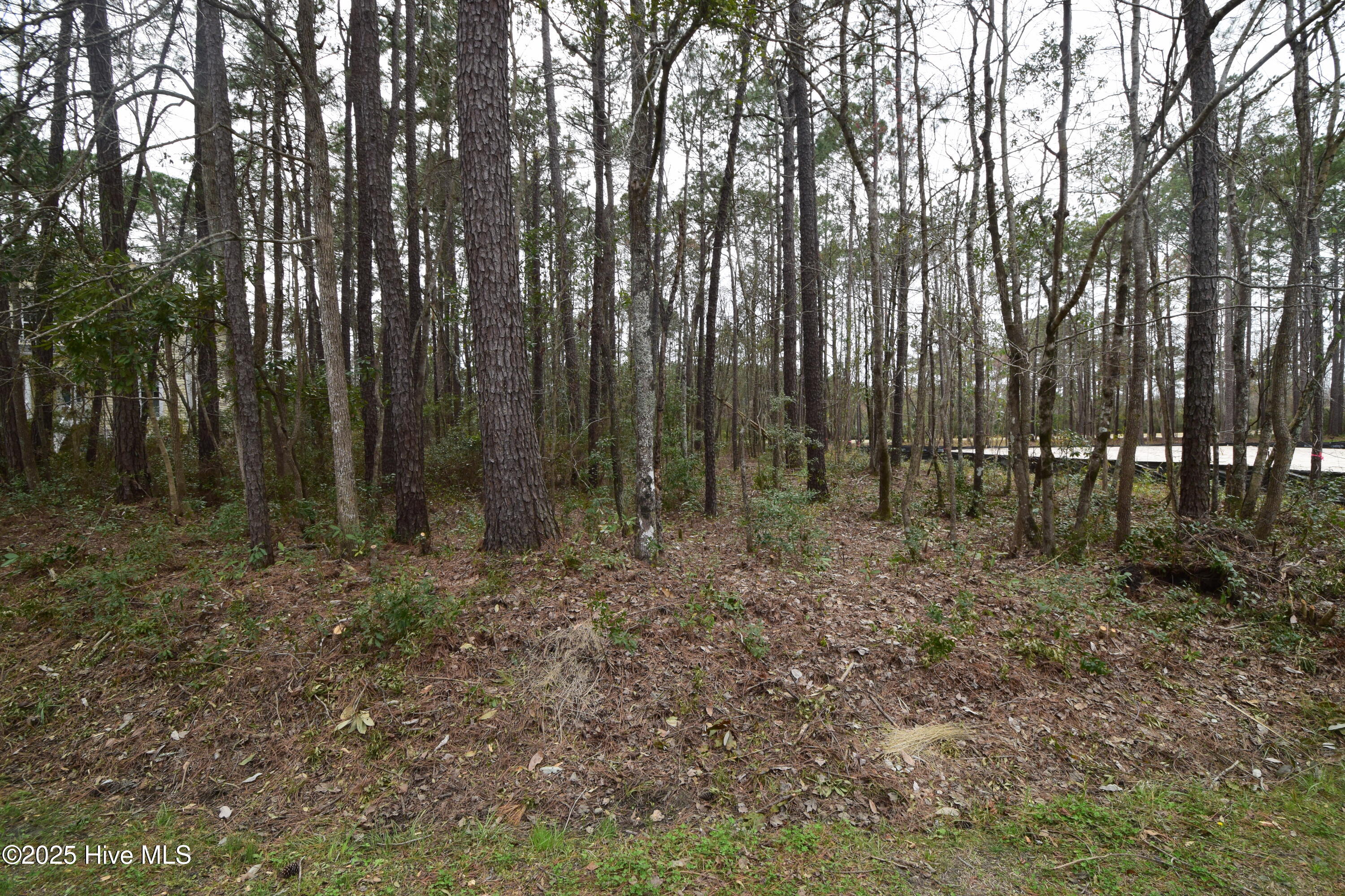 916 Bee Tree Court Property Photo