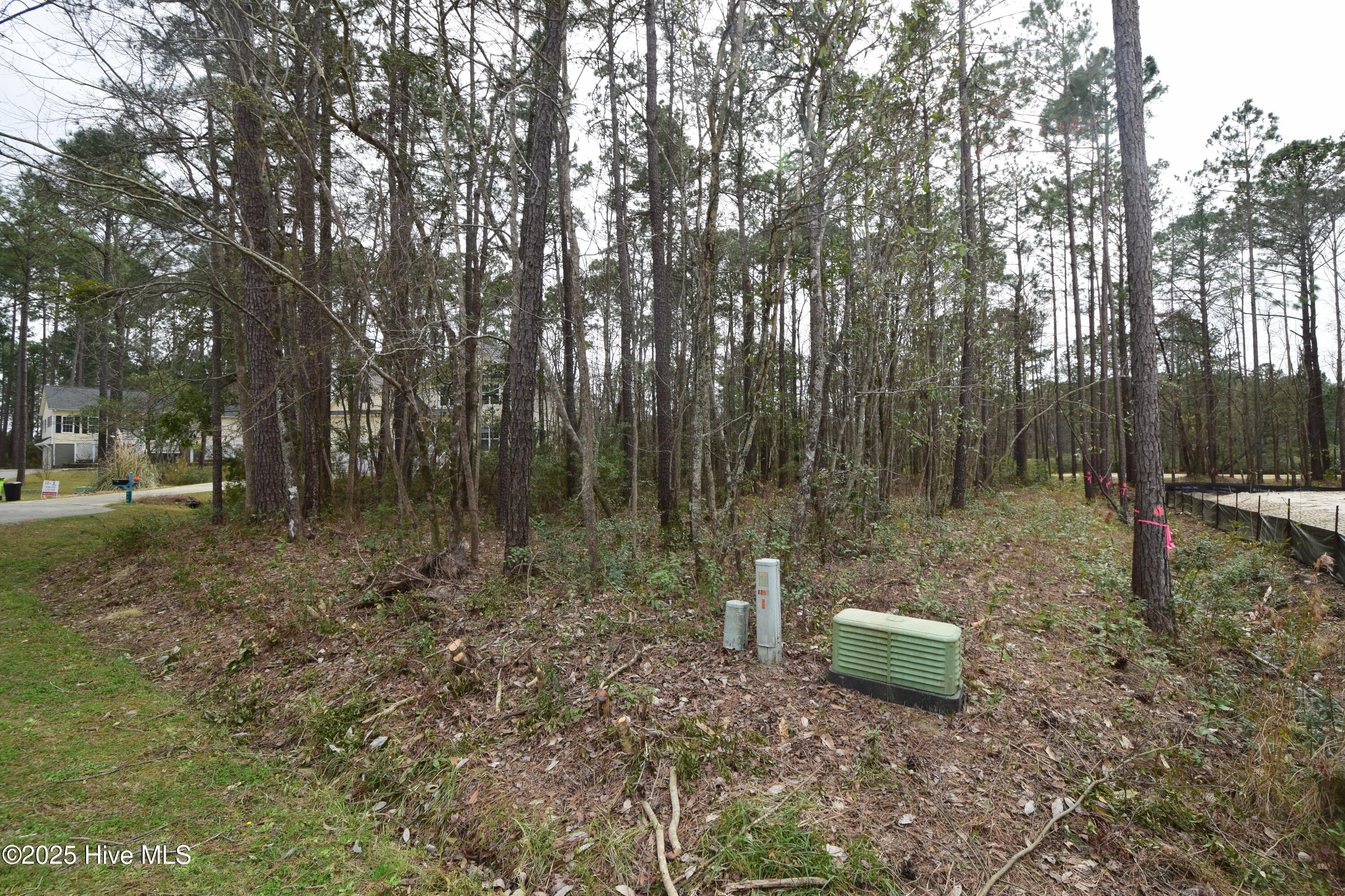 916 Bee Tree Court Property Photo 2