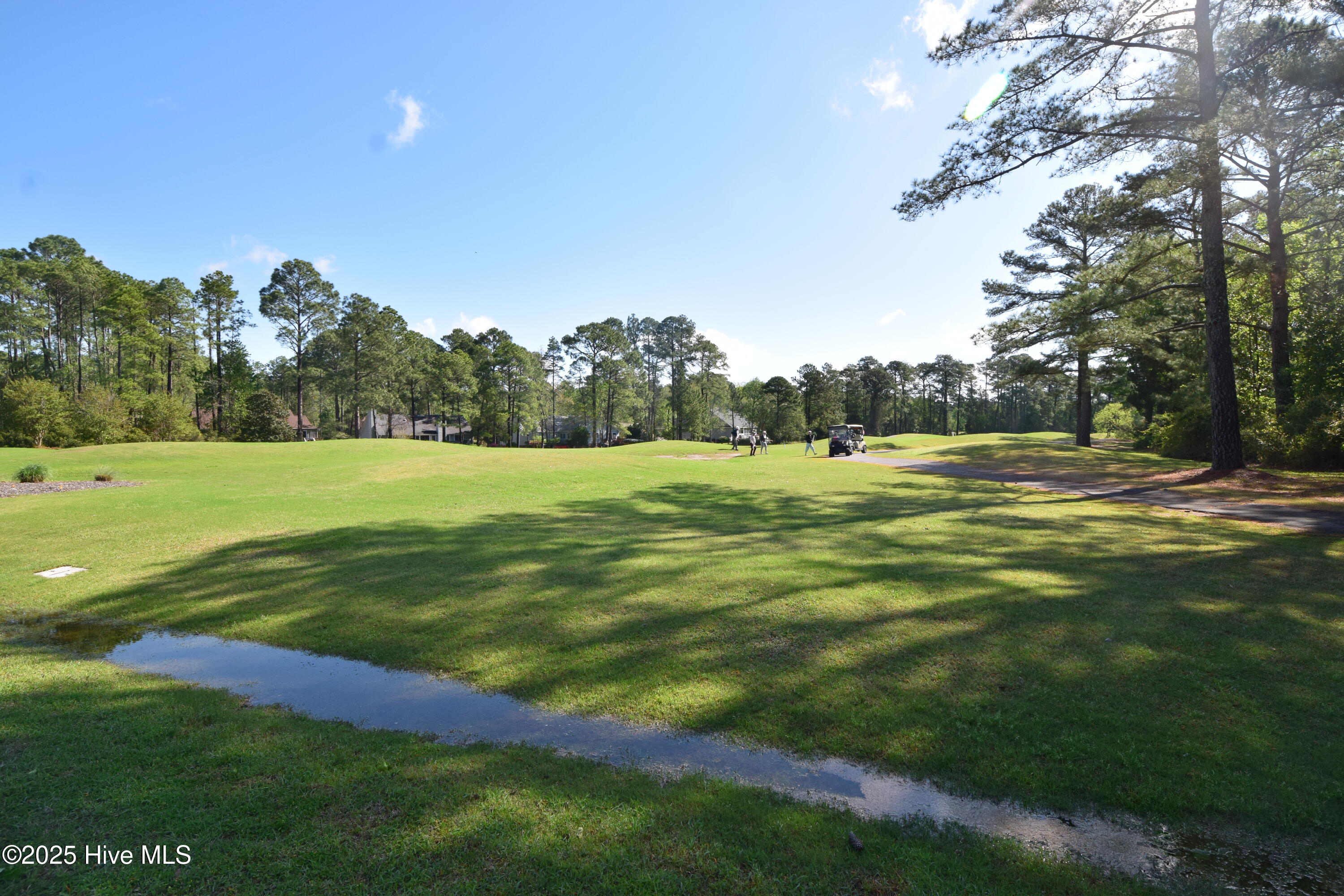 916 Bee Tree Court Property Photo 6