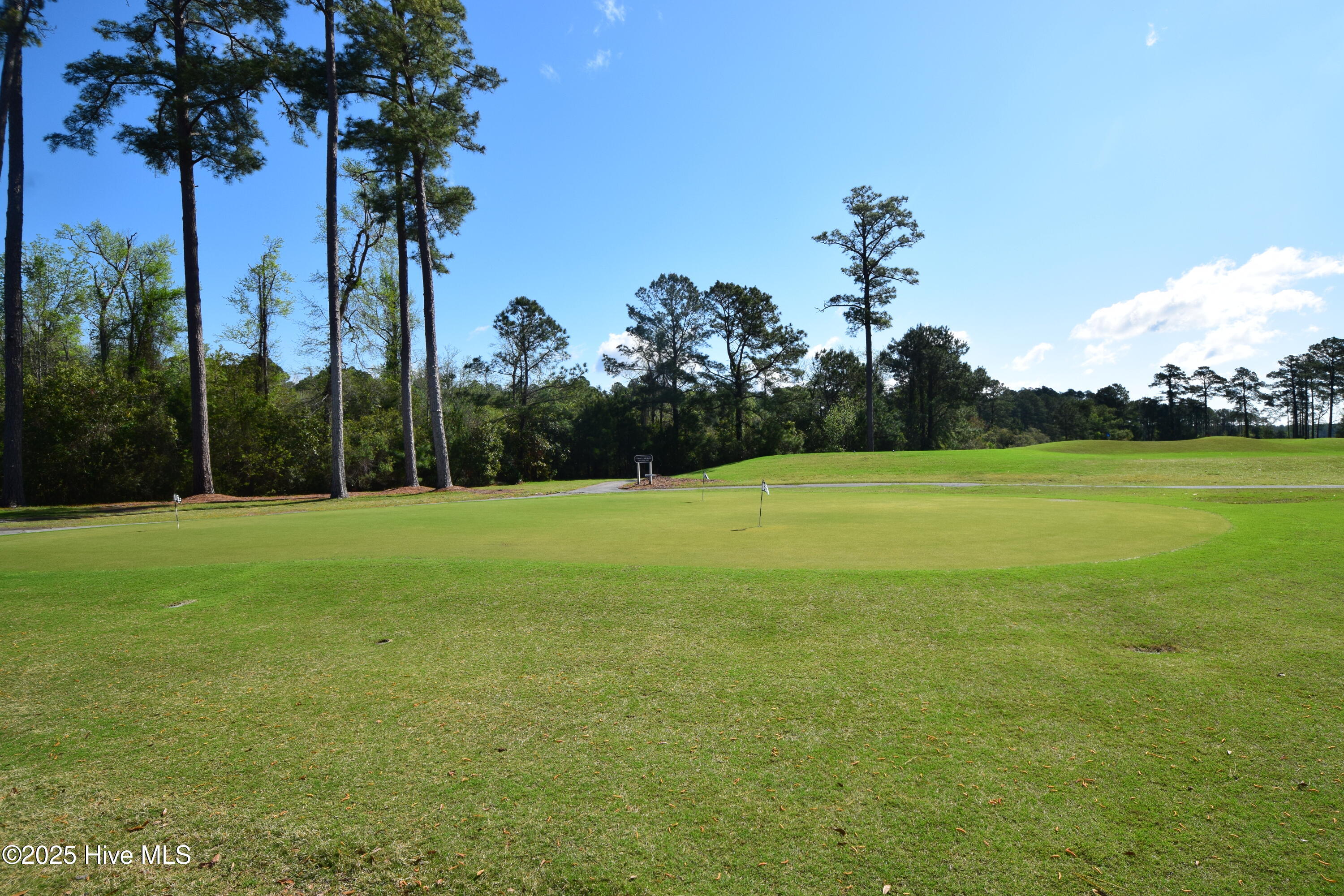 916 Bee Tree Court Property Photo 8