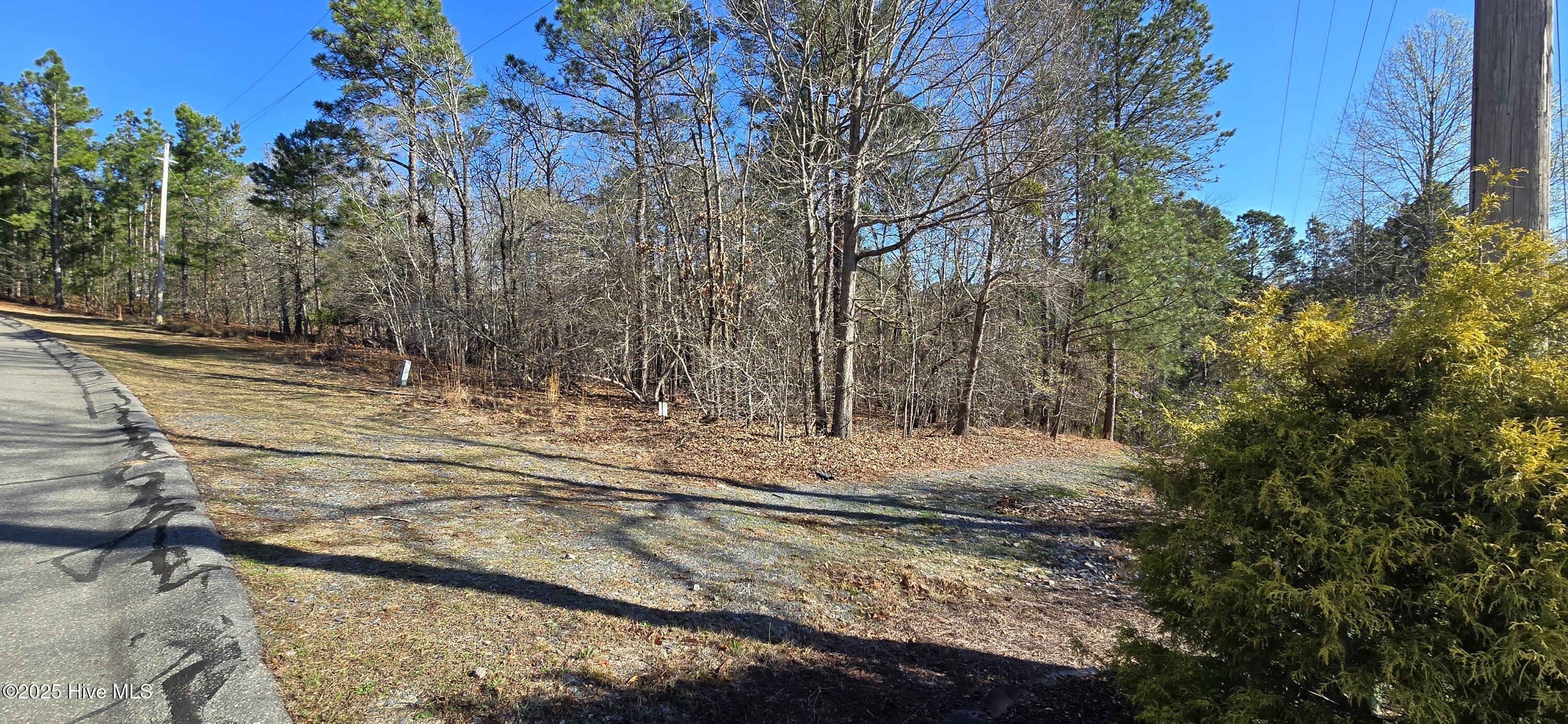 103 Wertz Drive Property Photo 2