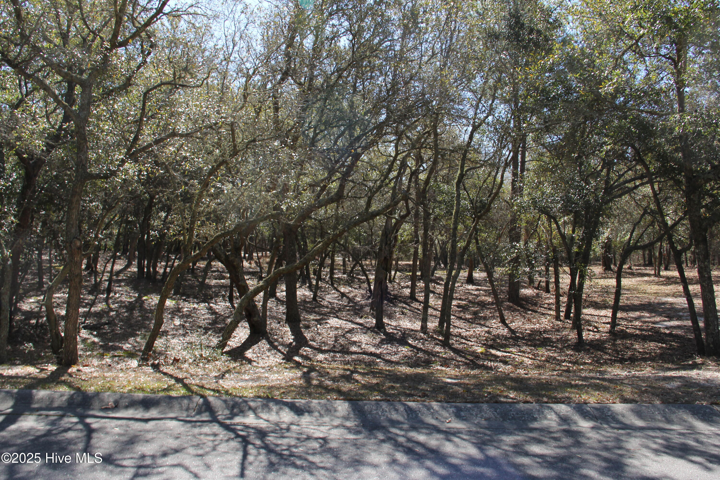 587 S Seascape Boulevard Property Photo 4