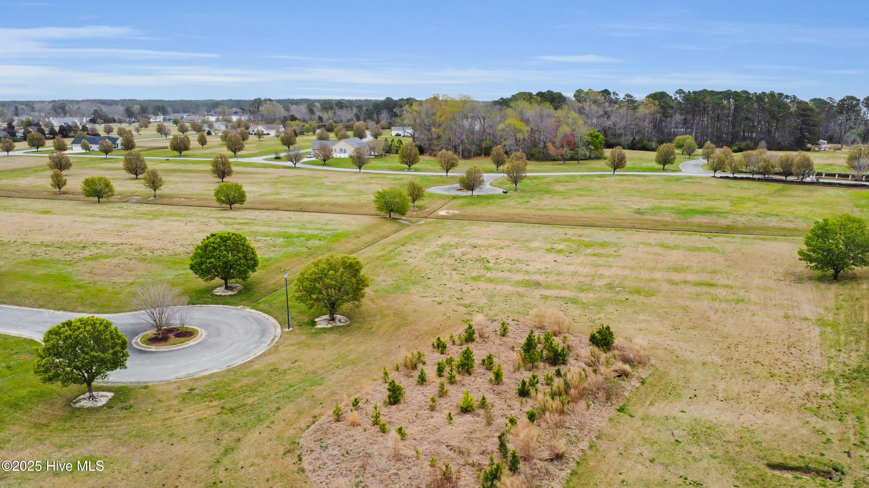 109 Elbert Lee Road Property Photo 2