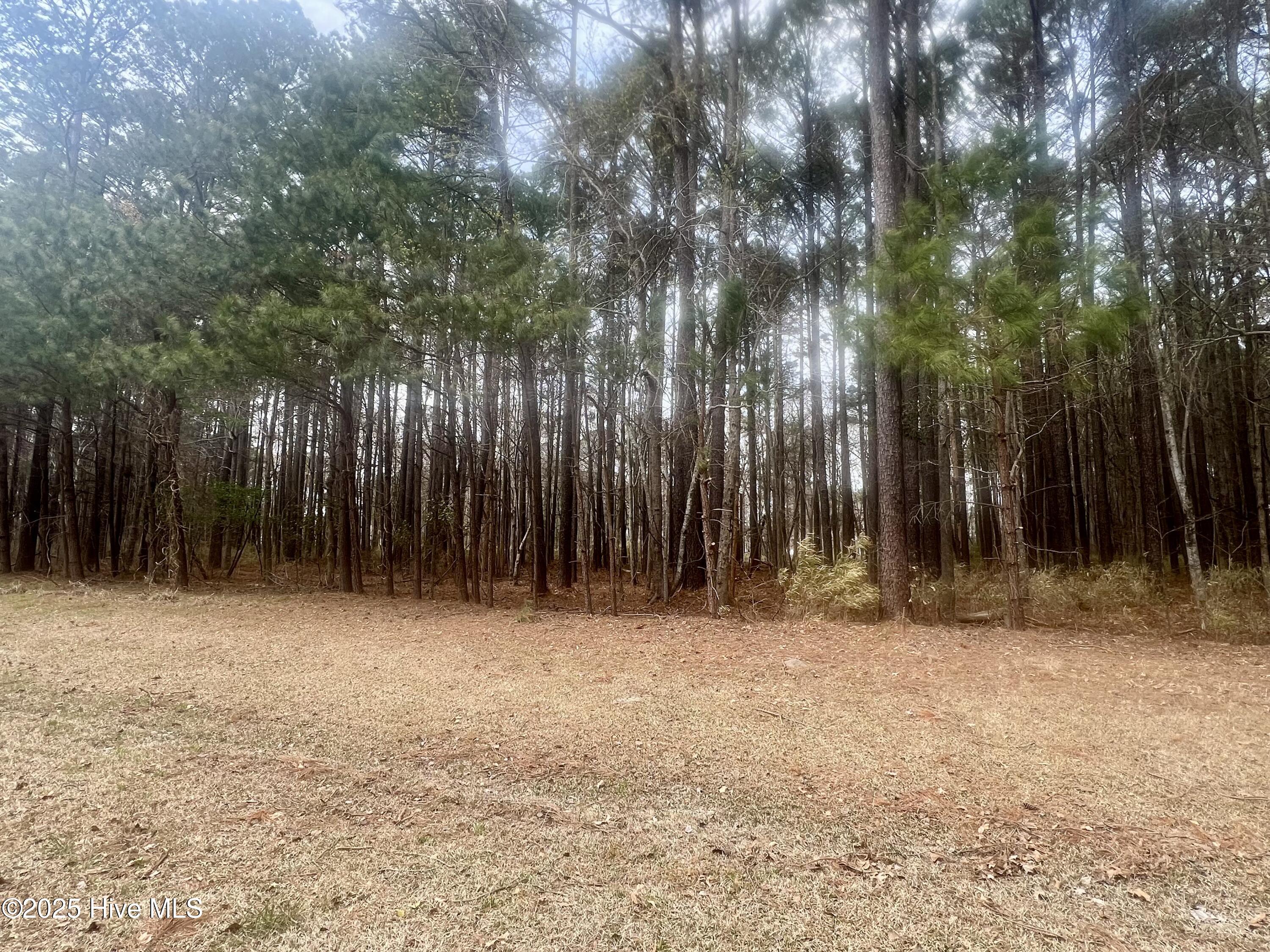 13 Indian Town Creek Drive Drive Property Photo 4