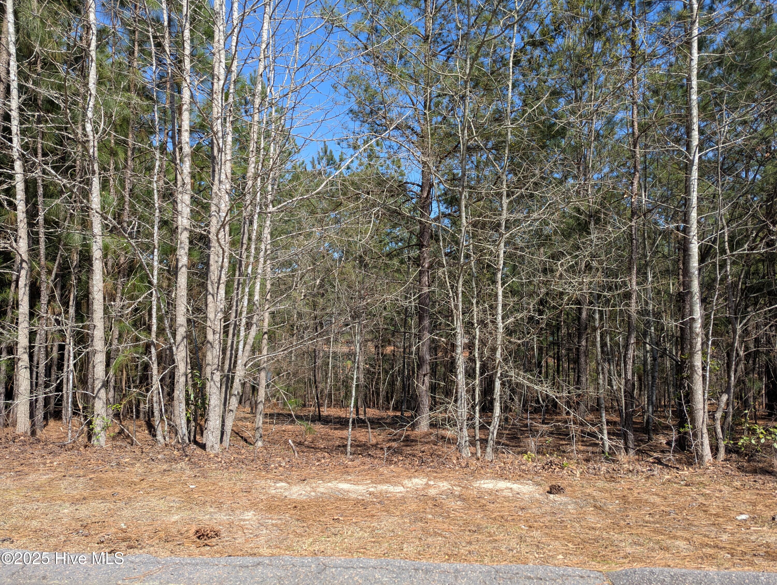 16/lot246 Overpeck Lane Property Photo 2