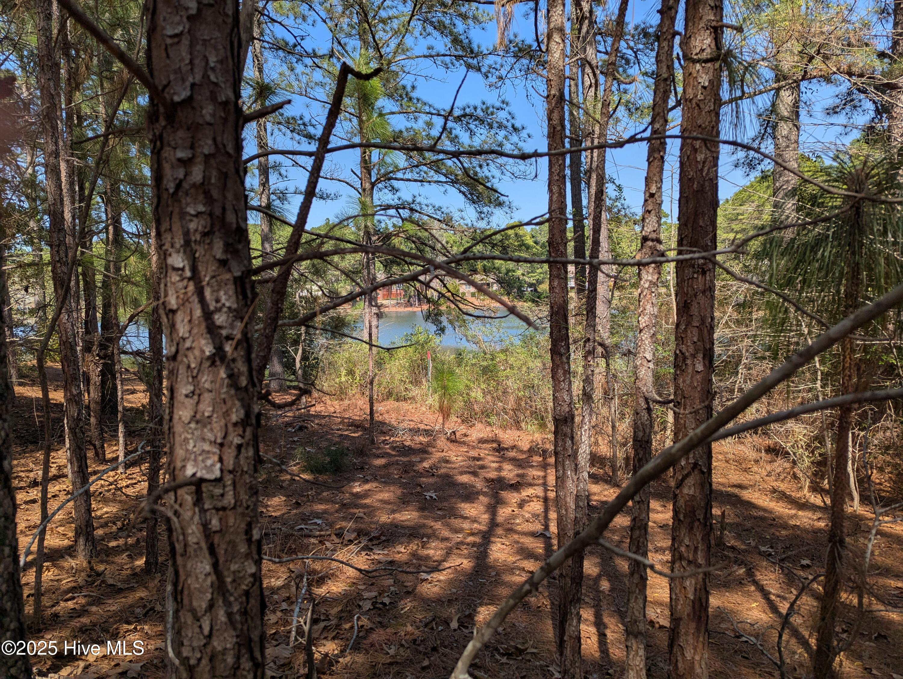 16/lot246 Overpeck Lane Property Photo 4