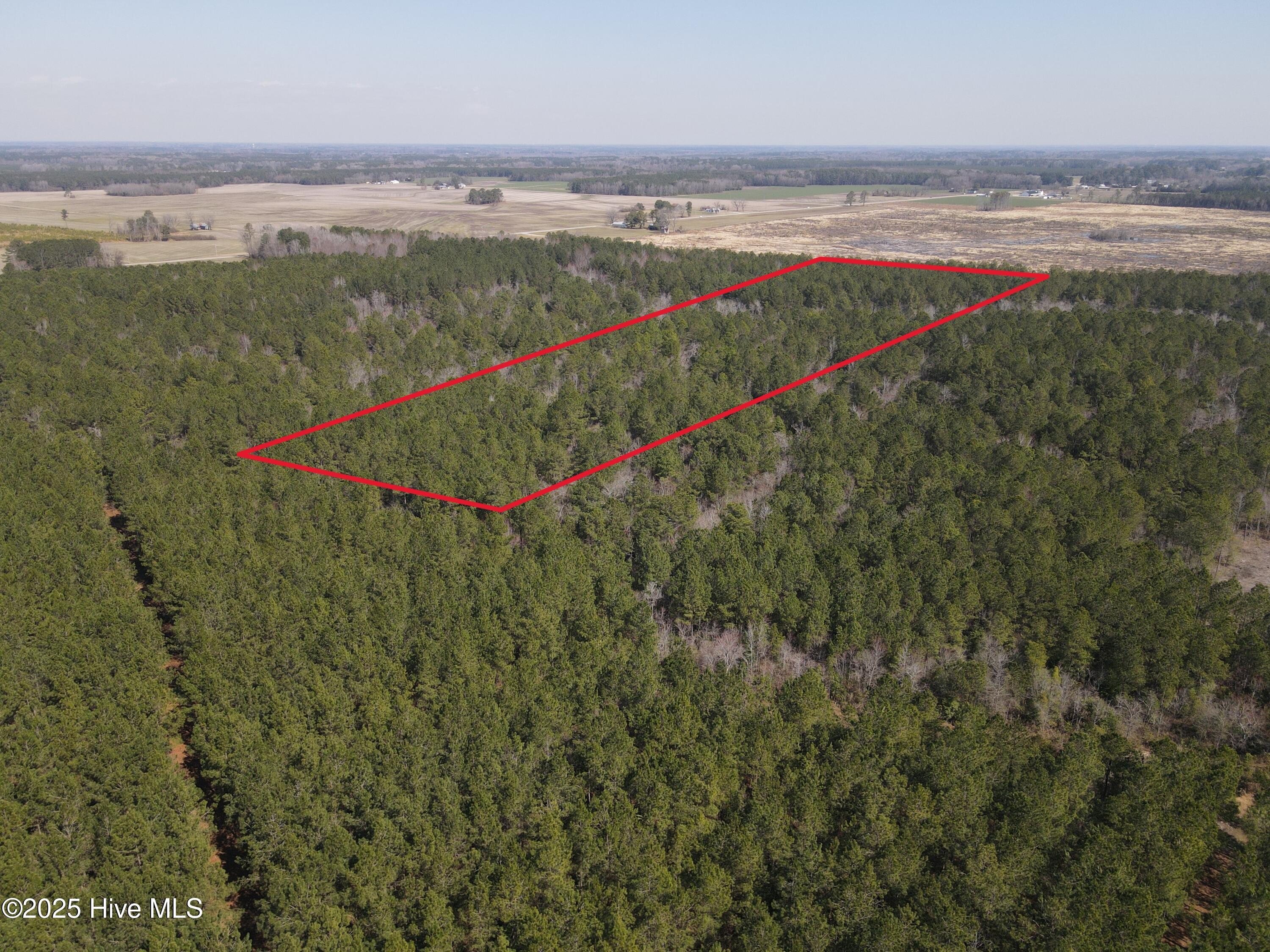 00 Webb Lake Road Property Photo 2
