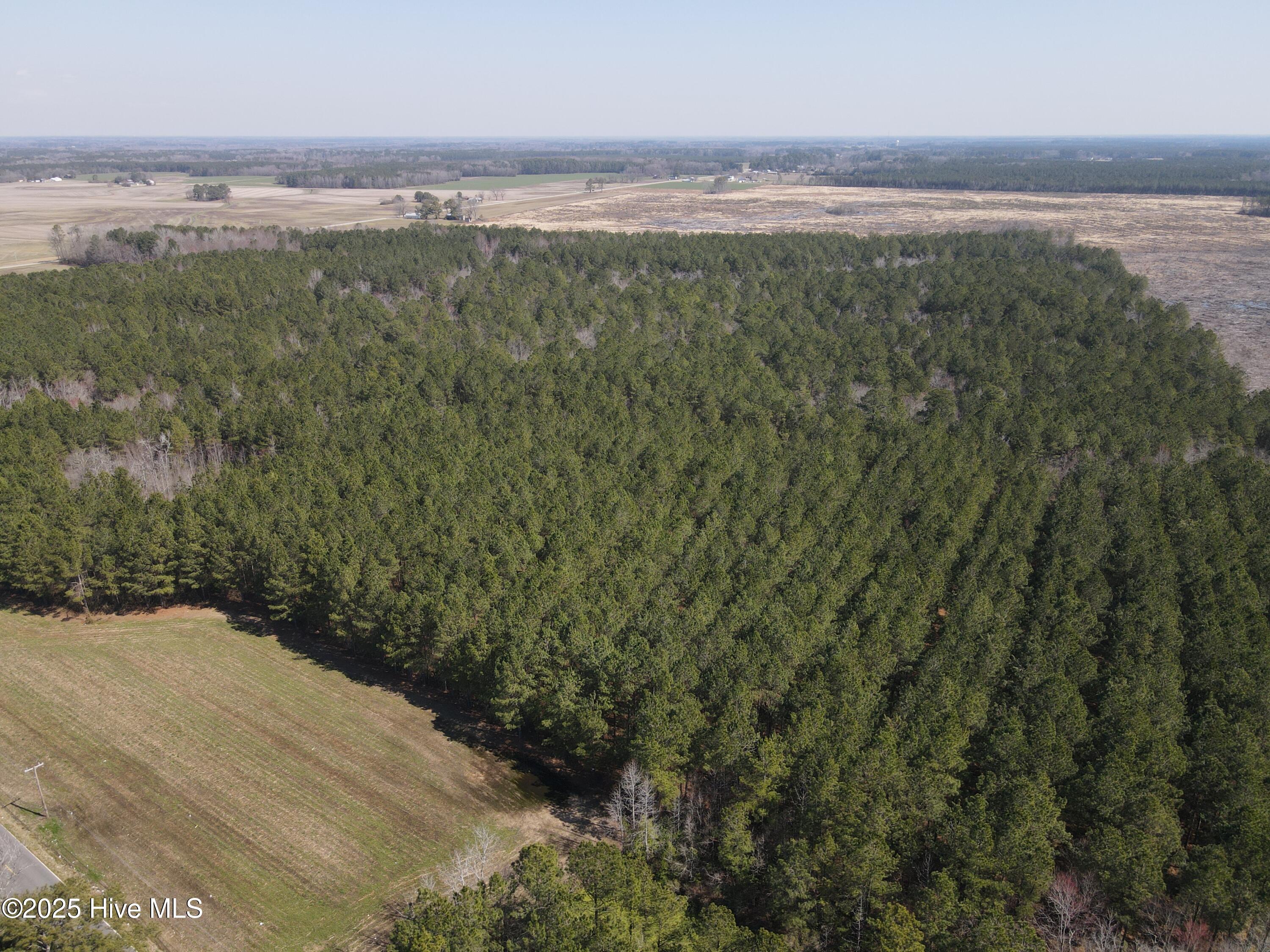 00 Webb Lake Road Property Photo 5