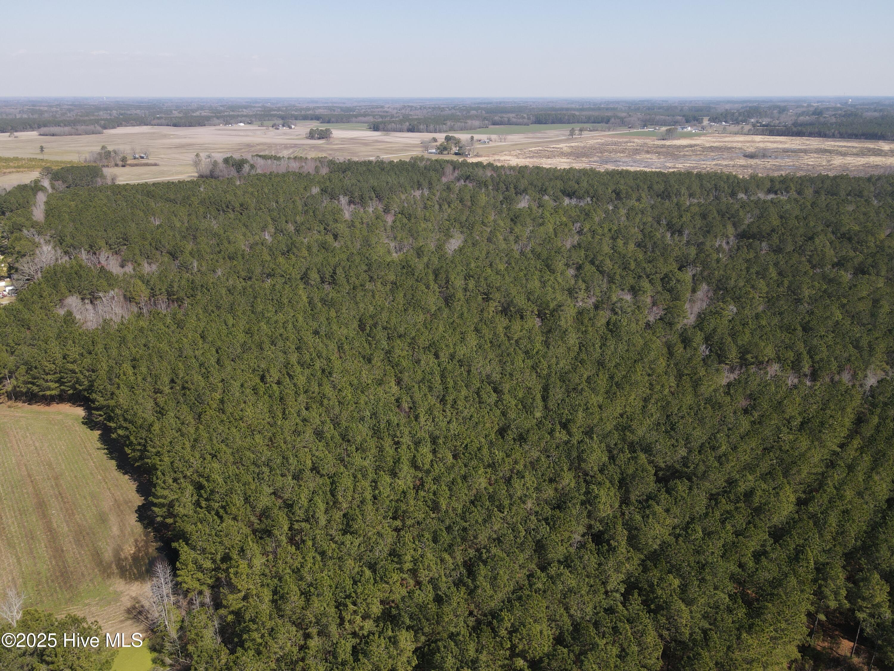 00 Webb Lake Road Property Photo 6