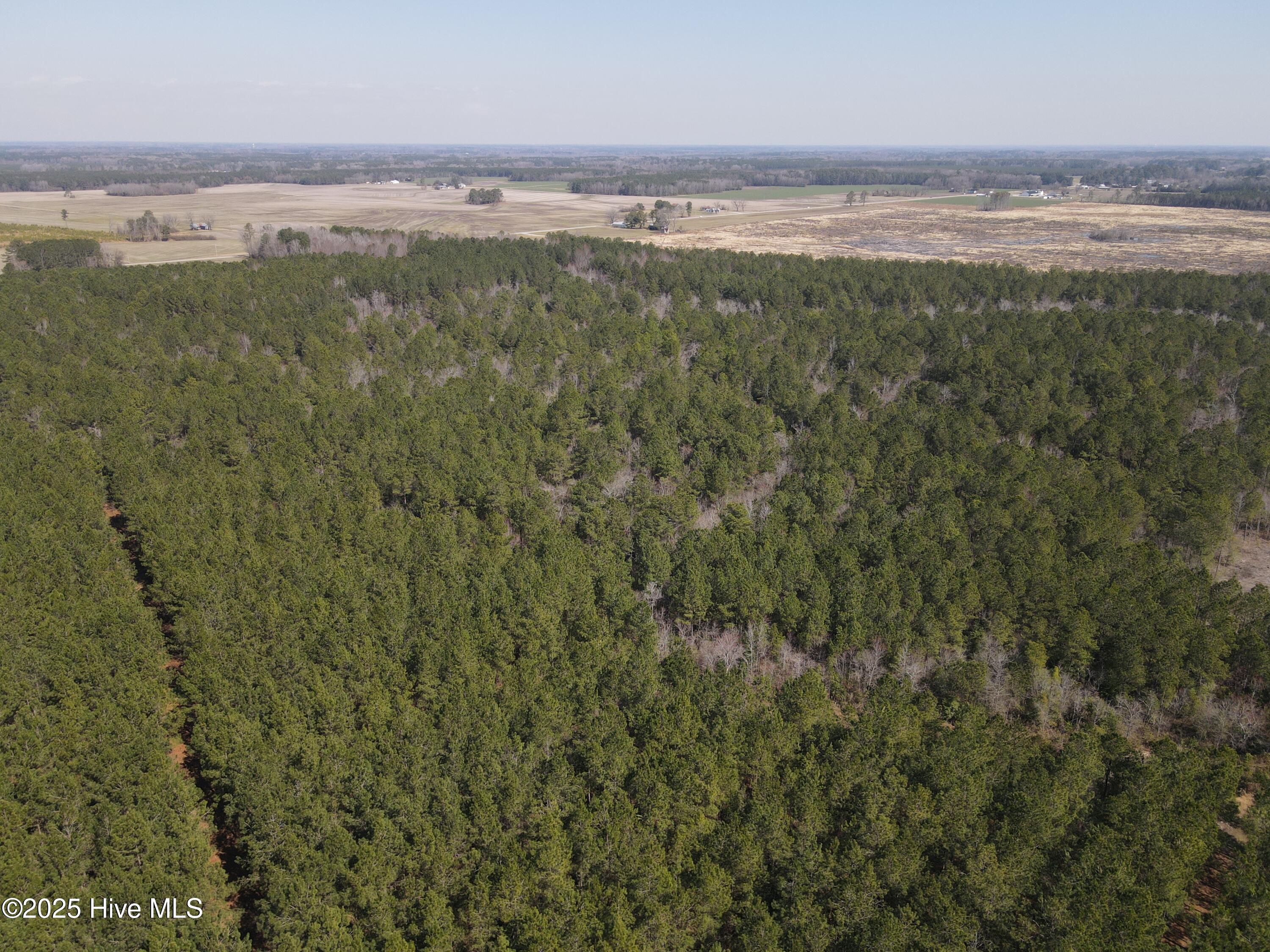 00 Webb Lake Road Property Photo 7