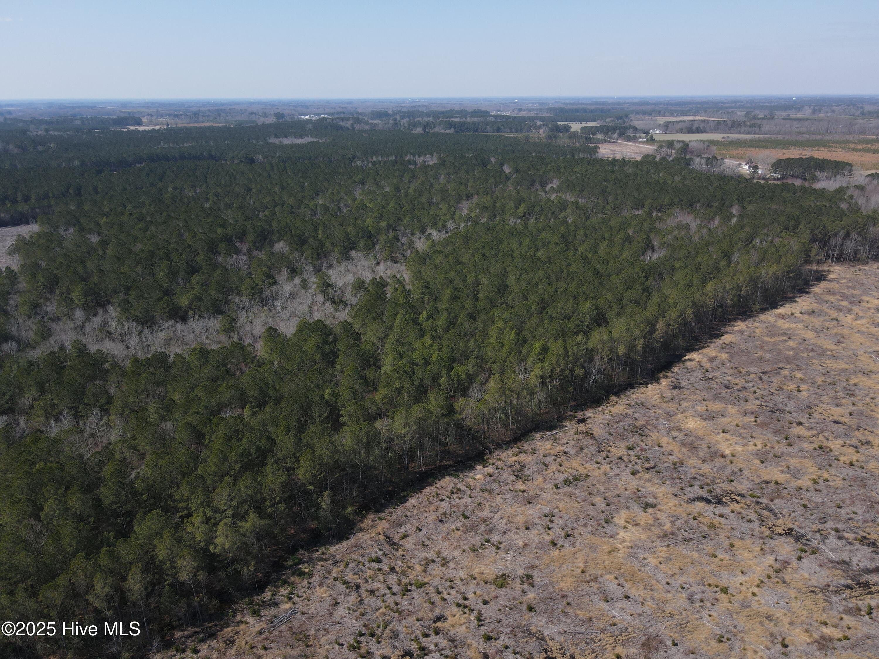 00 Webb Lake Road Property Photo 9