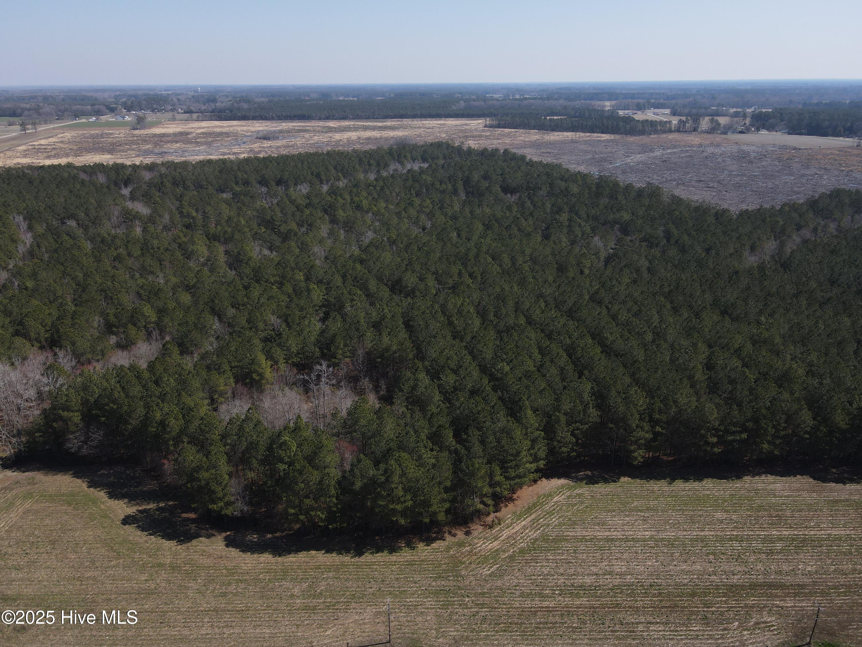 00 Webb Lake Road Property Photo 13
