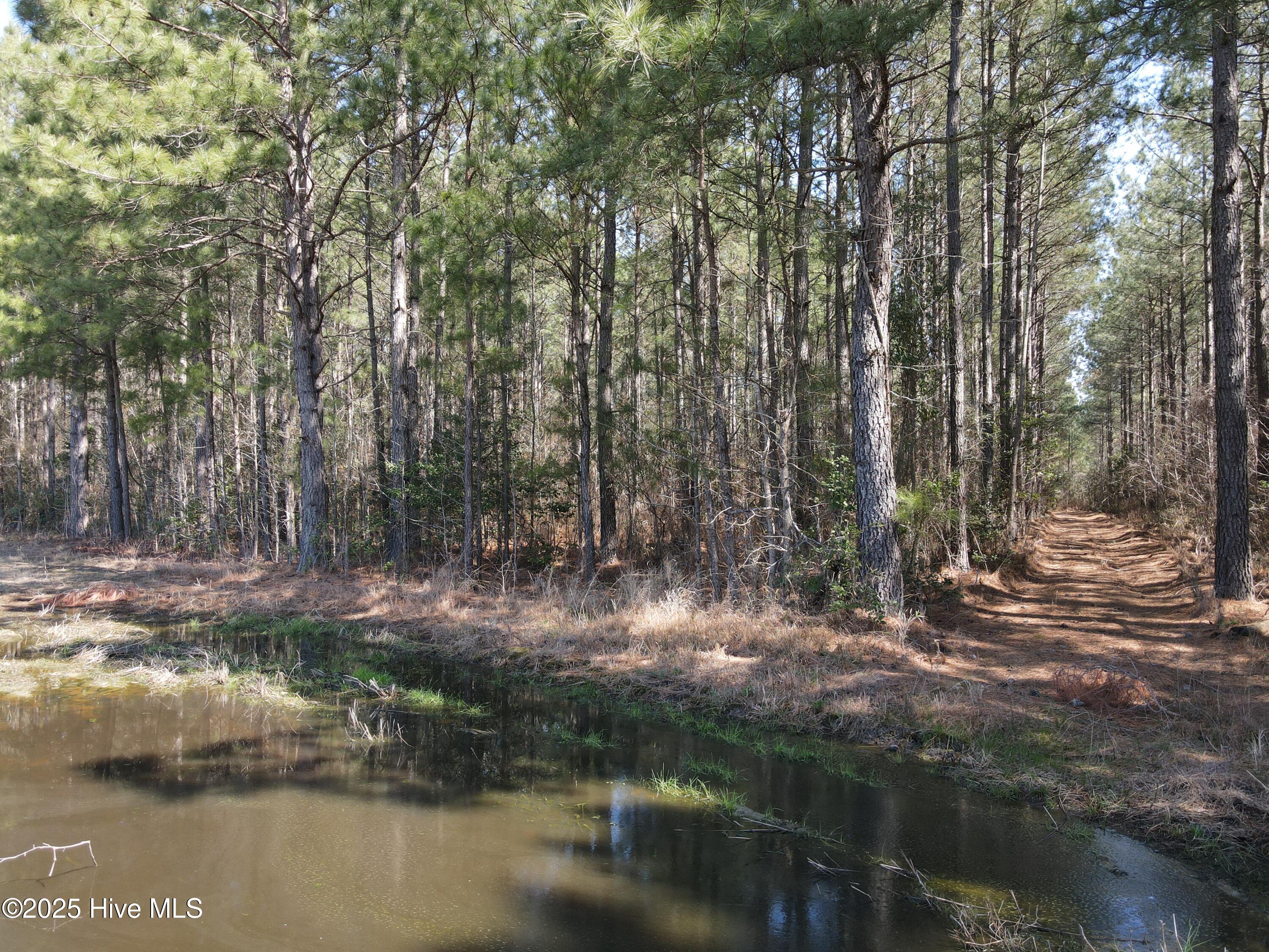 00 Webb Lake Road Property Photo 19
