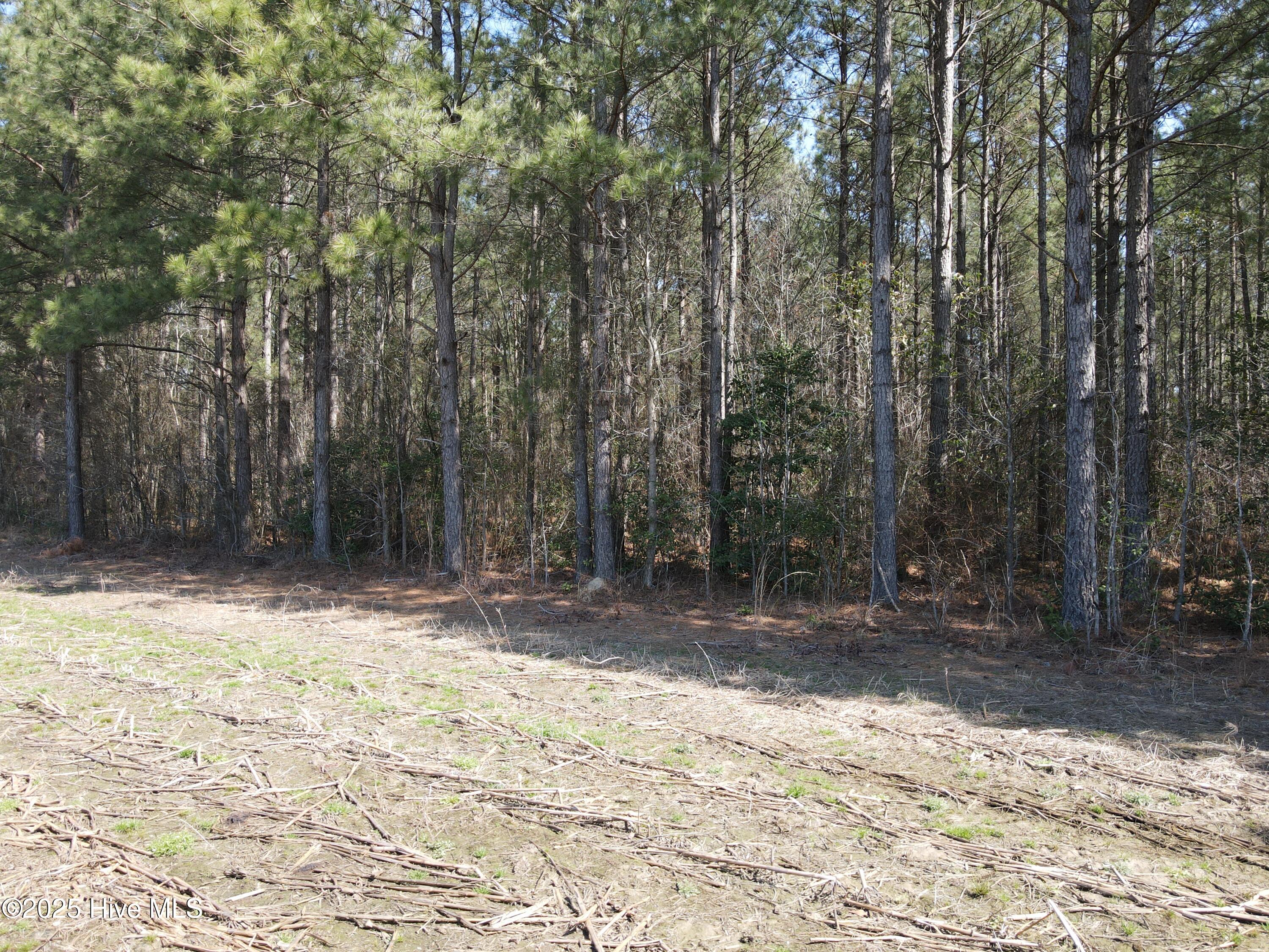 00 Webb Lake Road Property Photo 20