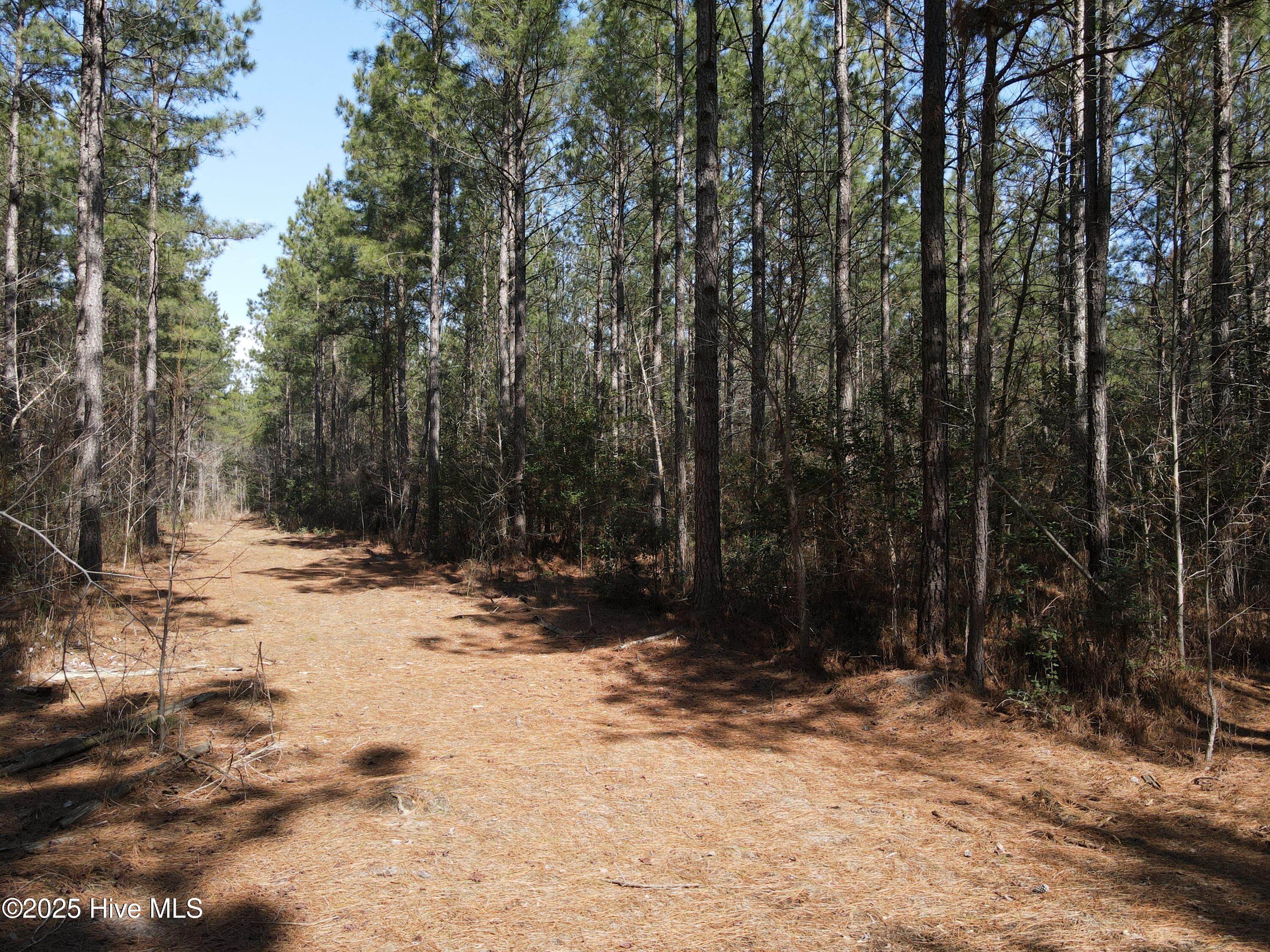 00 Webb Lake Road Property Photo 21