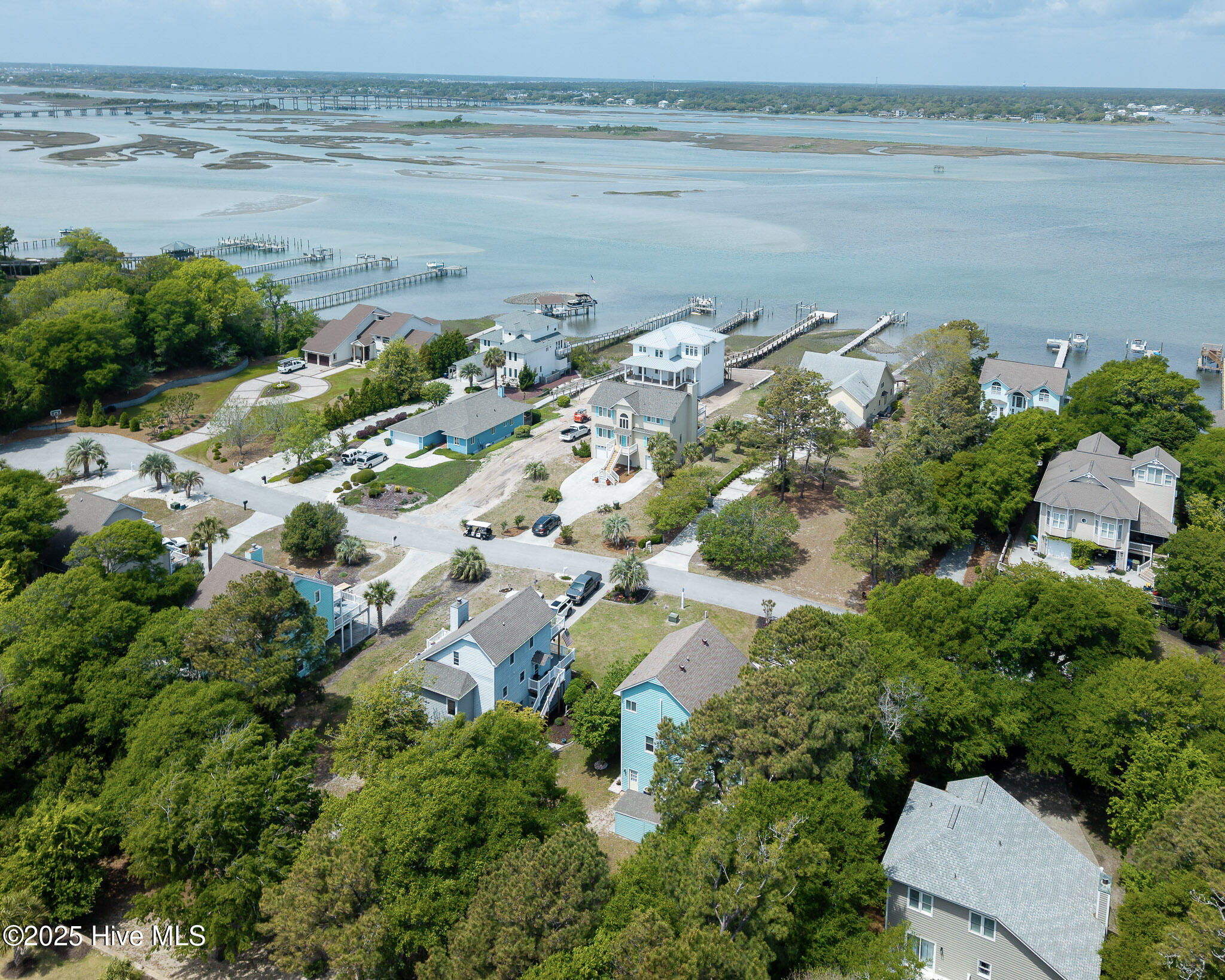 8713 Emerald Plantation Road Property Photo 4