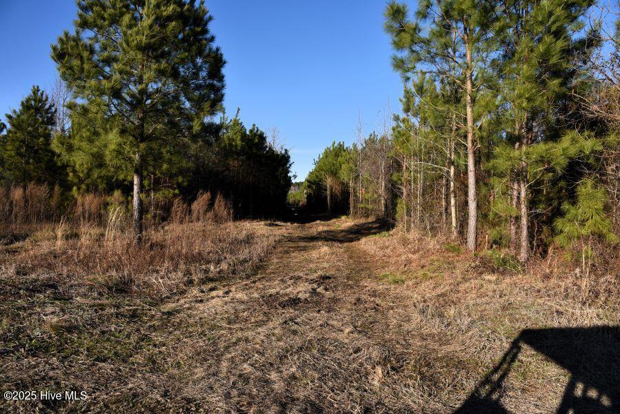 973 Mosely Road Property Photo 4