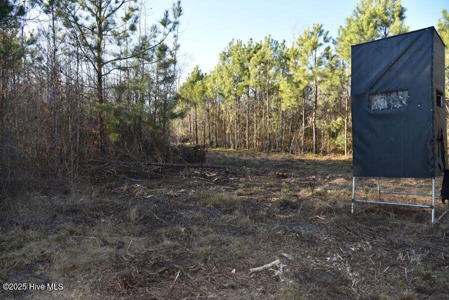 973 Mosely Road Property Photo 9