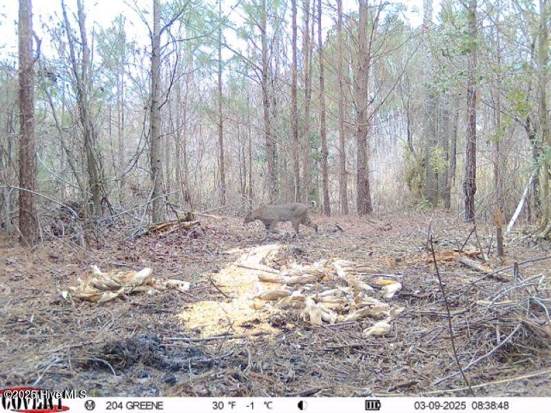 973 Mosely Road Property Photo 13