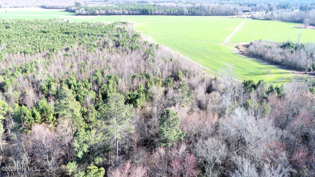 973 Mosely Road Property Photo 17