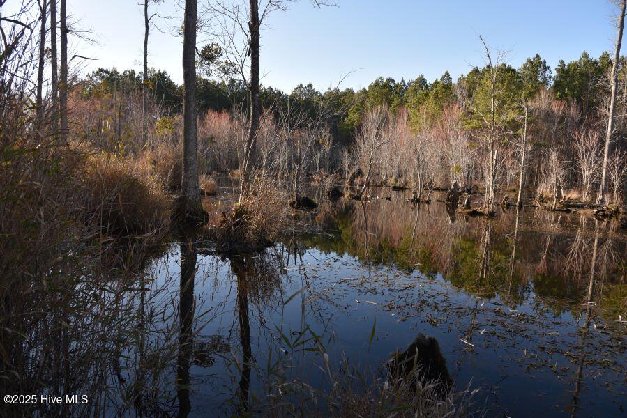 973 Mosely Road Property Photo 18