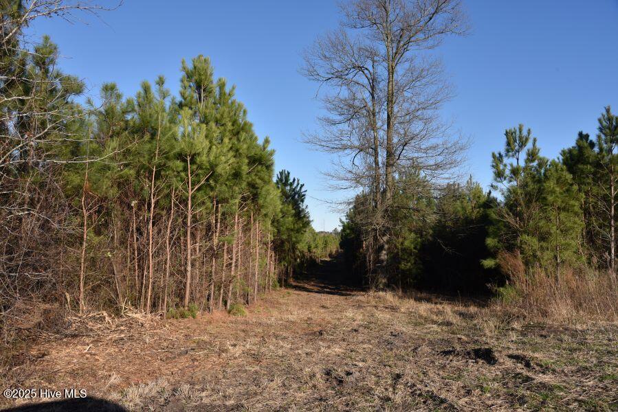 973 Mosely Road Property Photo 22