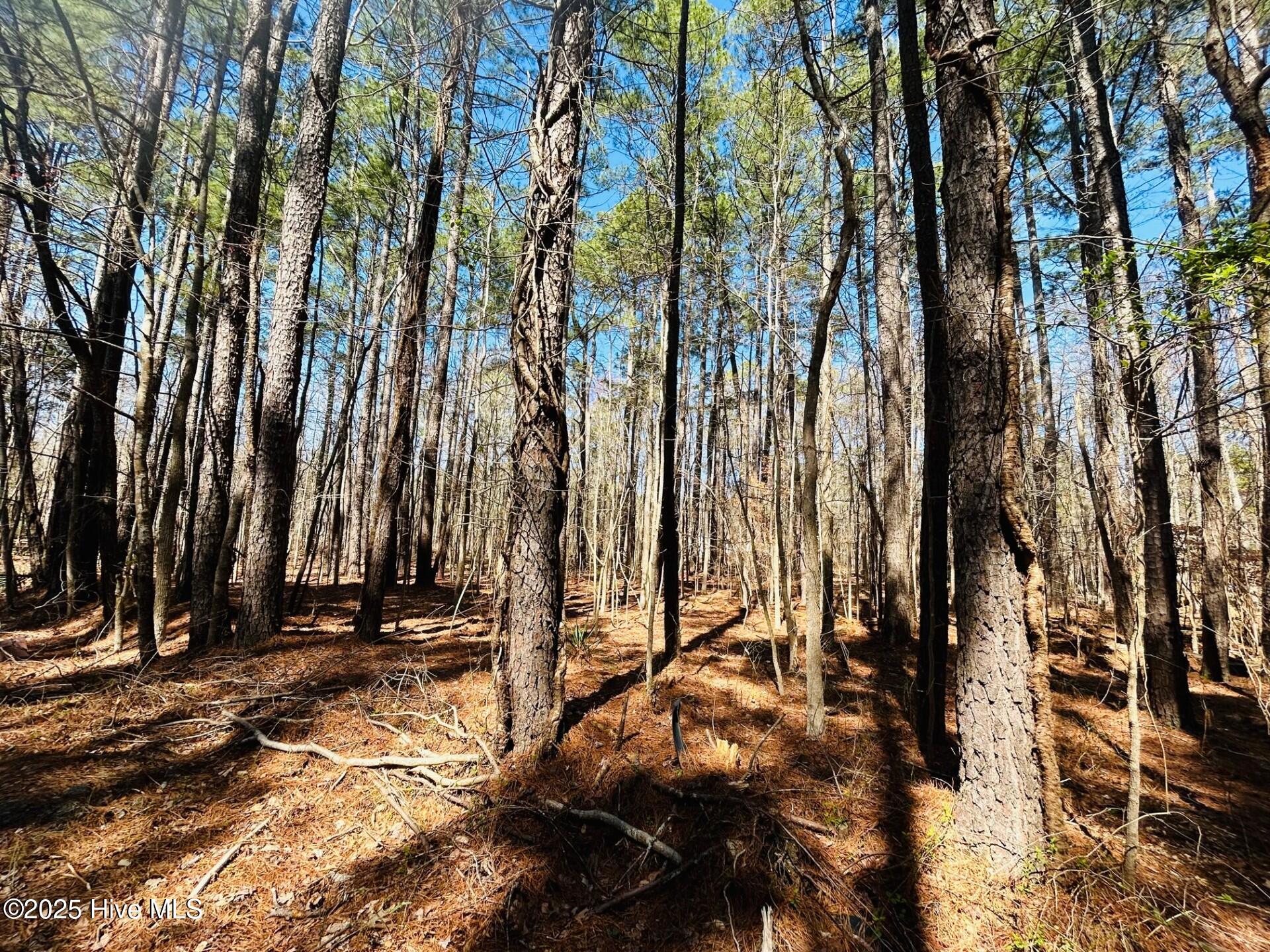 Perquimans County Real Estate Listings Main Image