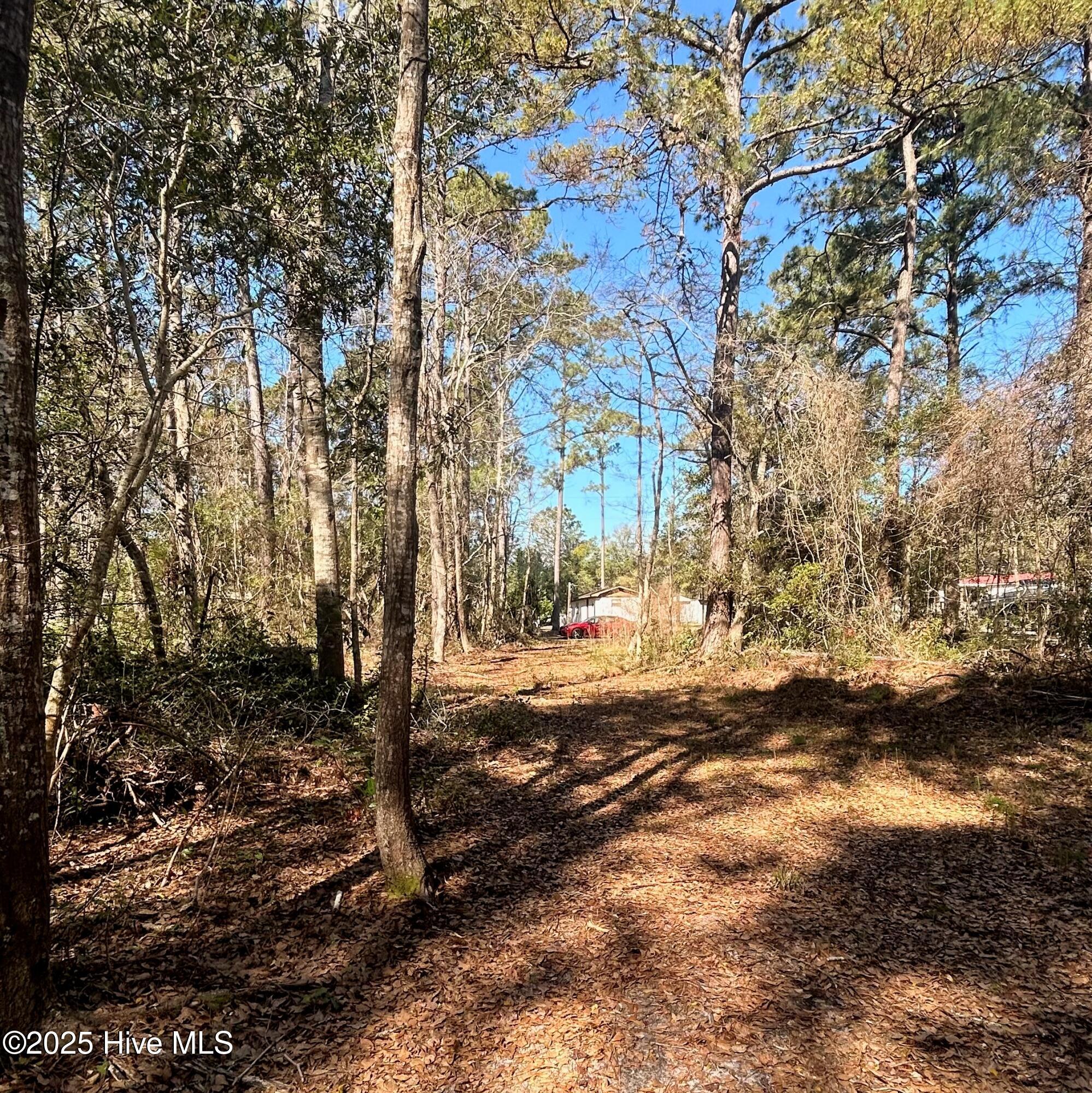 2412 Seago Lane Property Photo 1