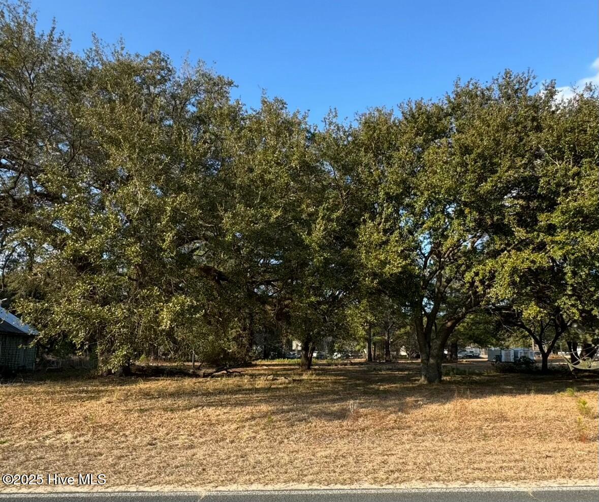 0 Mangum Road Property Photo 1