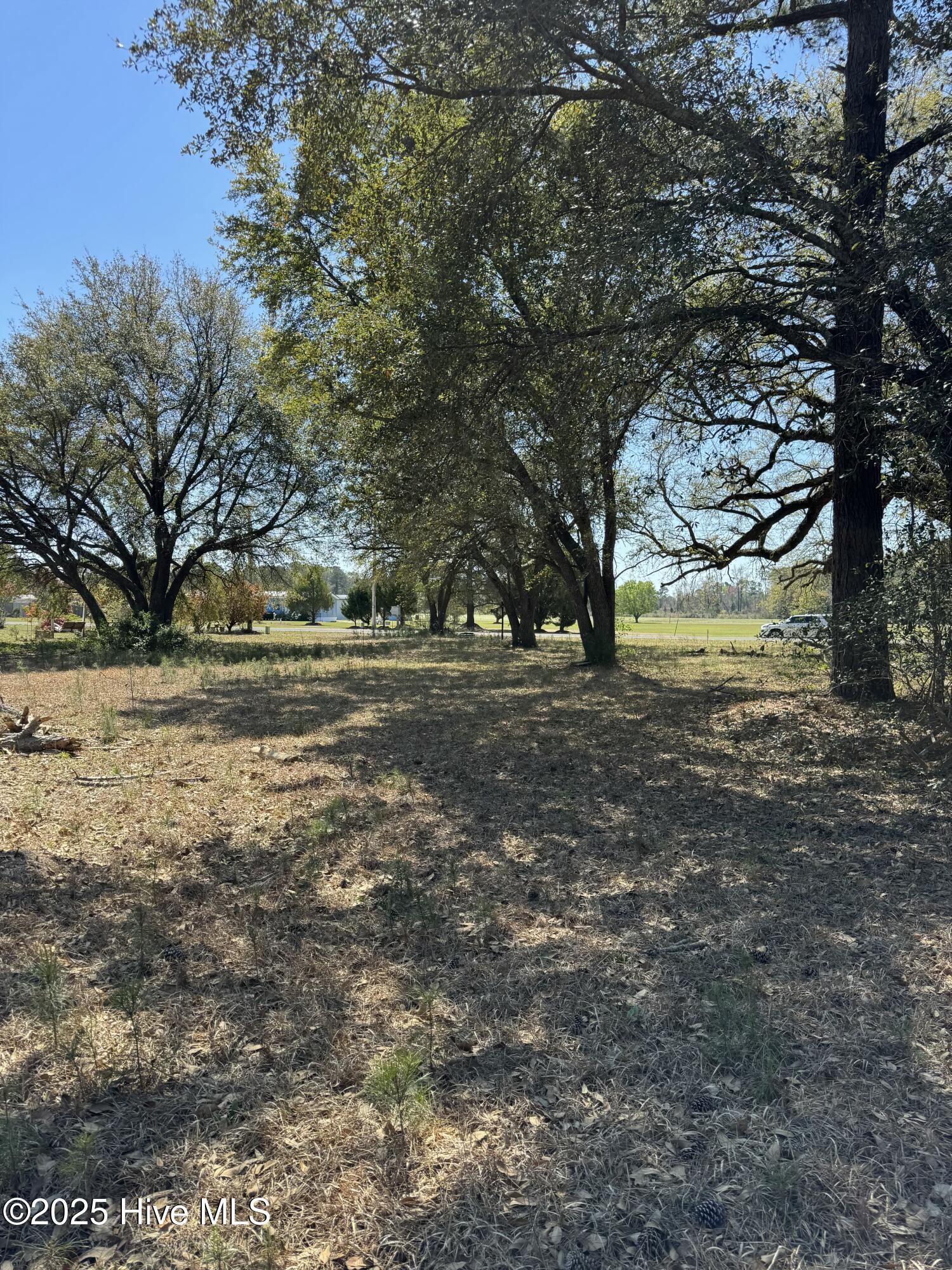 190 Mangum Road Property Photo 4