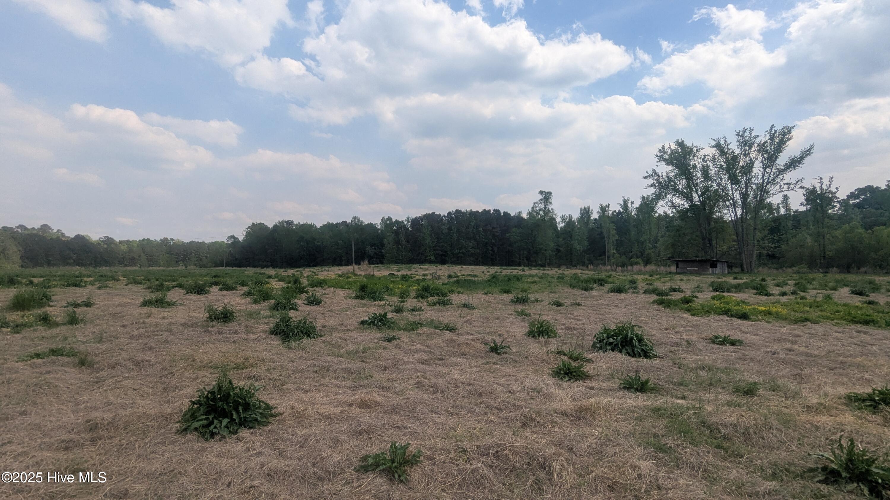 2957 Cypress Church Road Property Photo 18