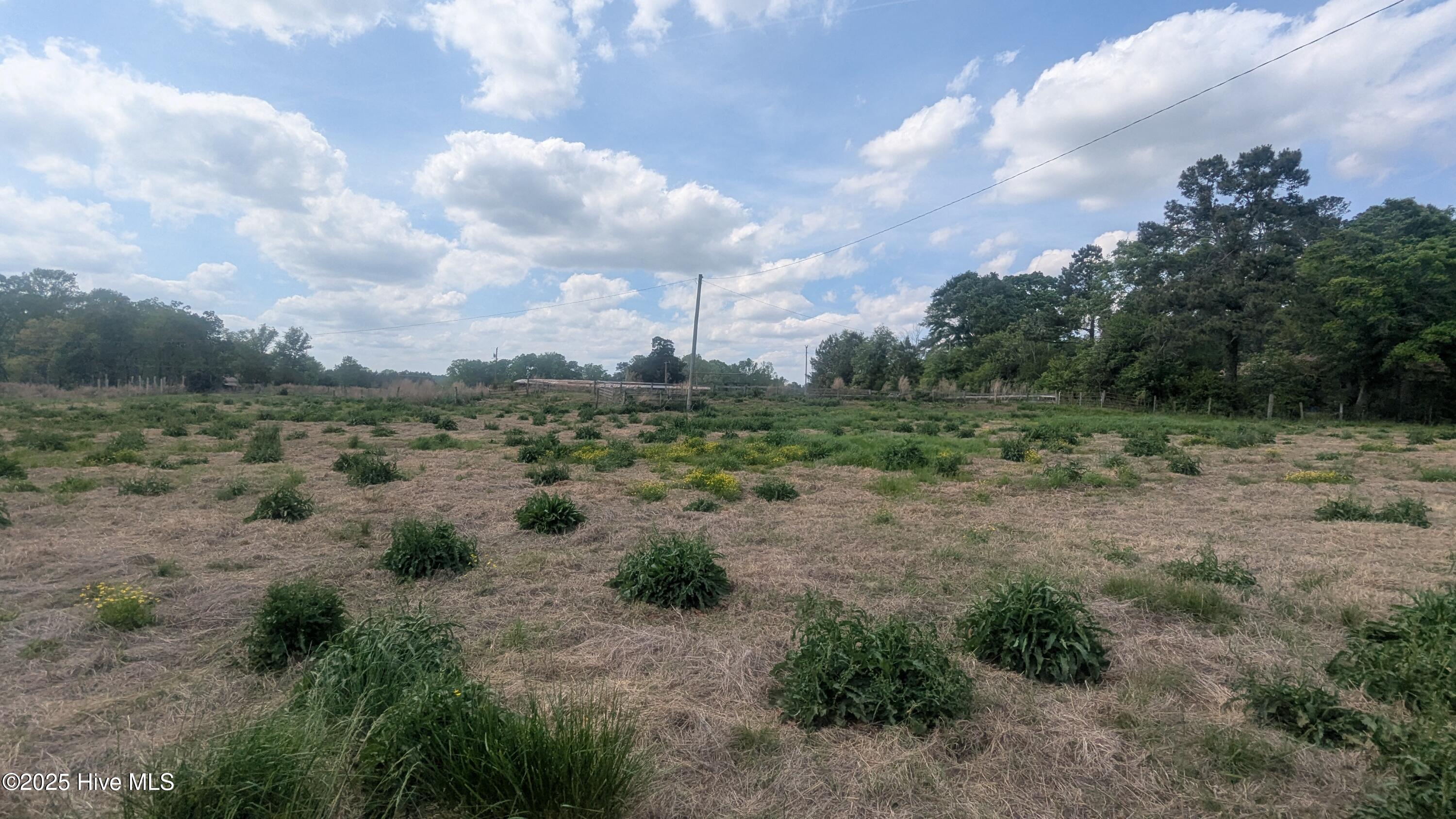 2957 Cypress Church Road Property Photo 20