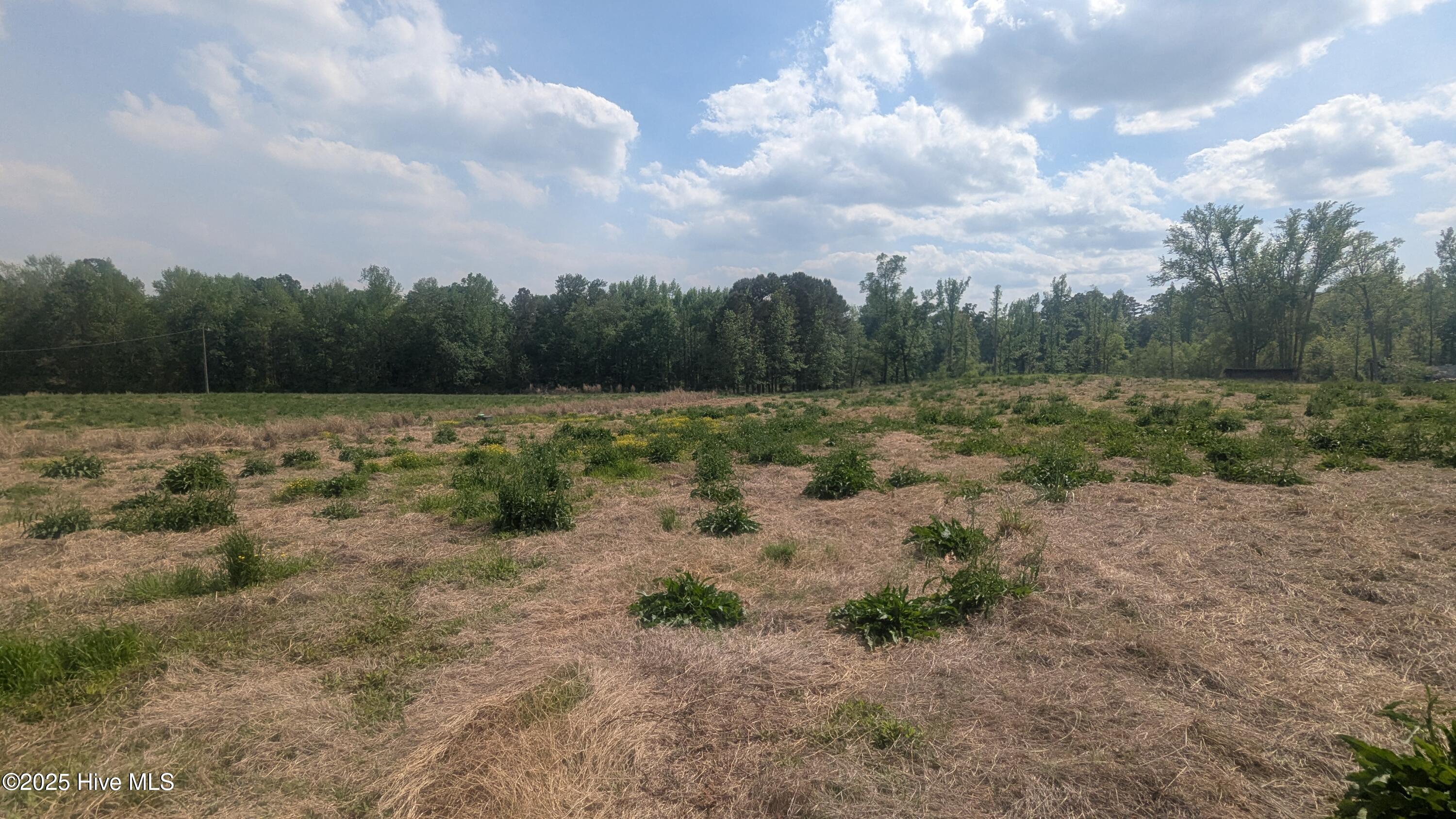 2957 Cypress Church Road Property Photo 23