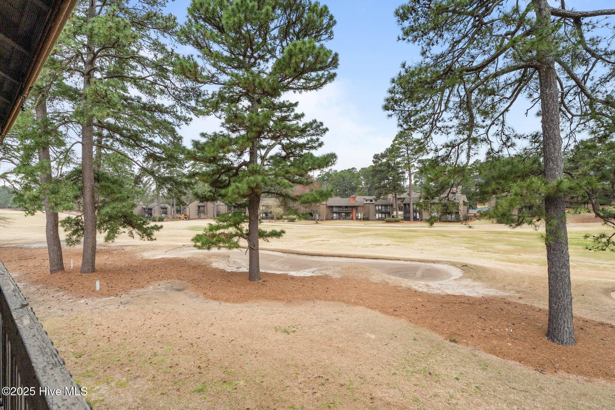 5 Pine Tree Road 208 Property Photo 5