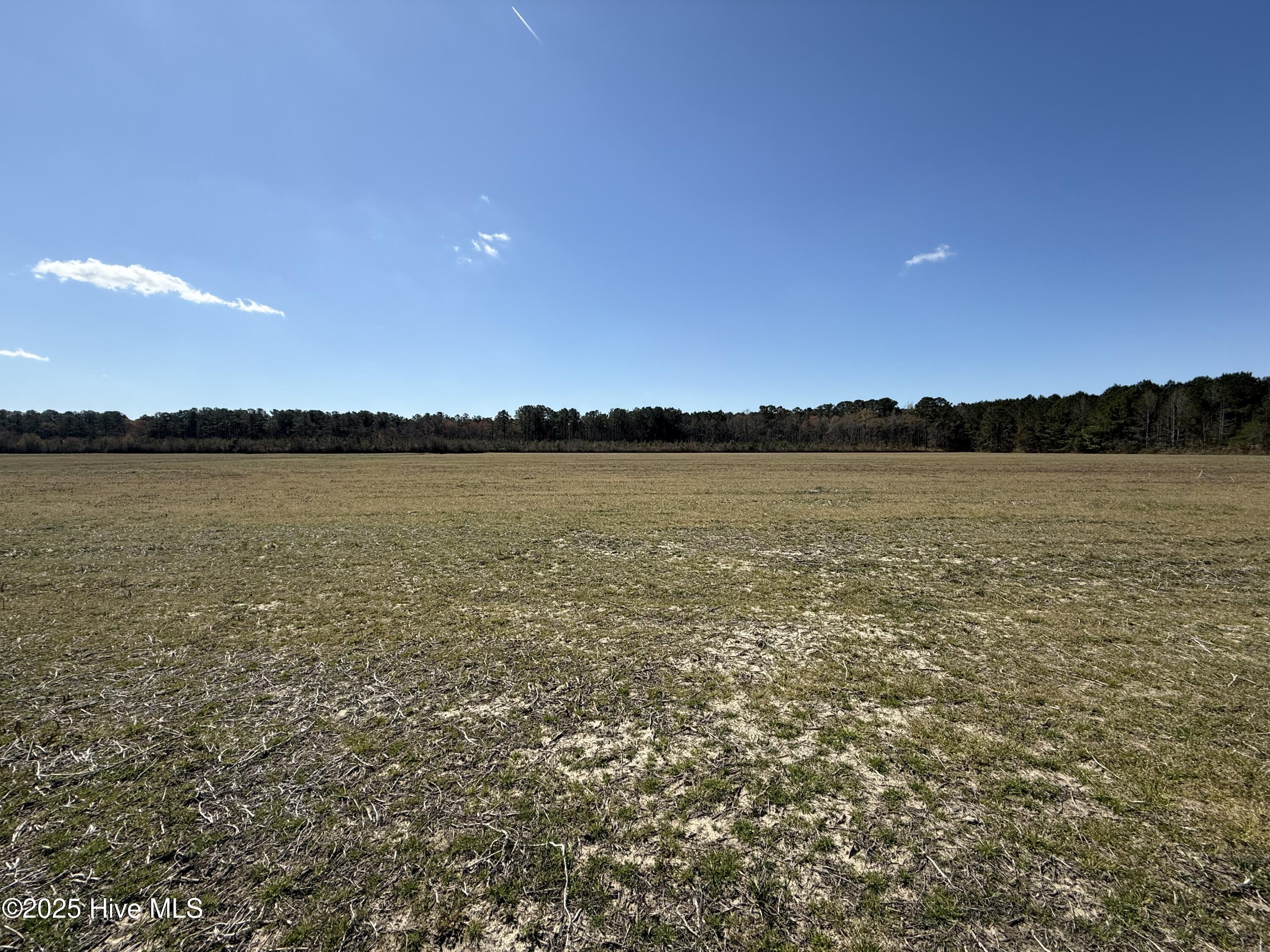0 Meeks Road Property Photo 11