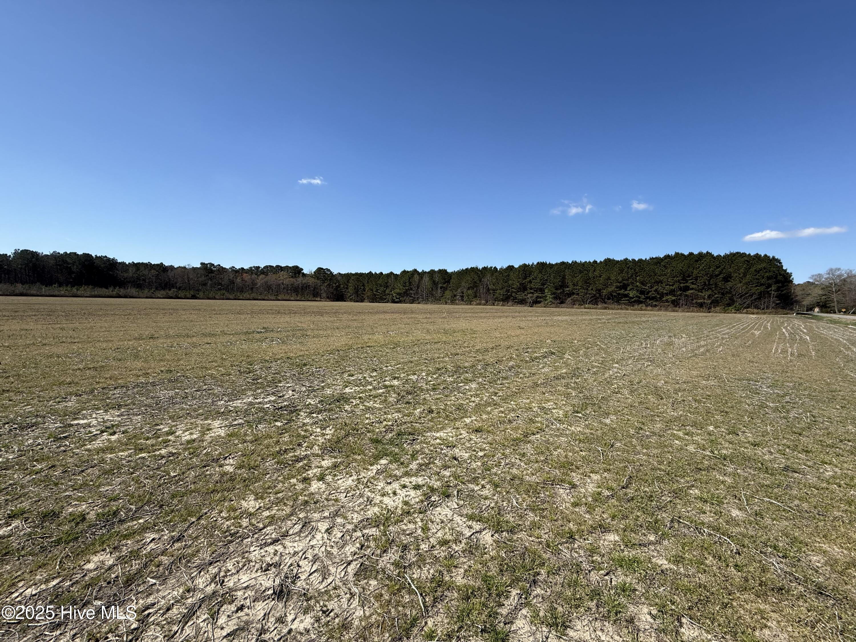 0 Meeks Road Property Photo 12