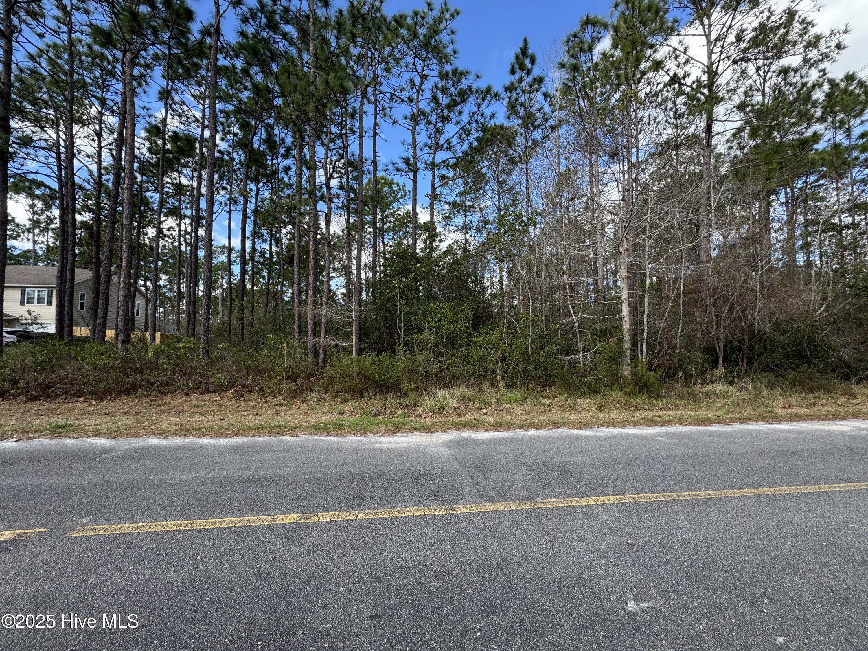 Lot 20 Lumberton Road Property Photo