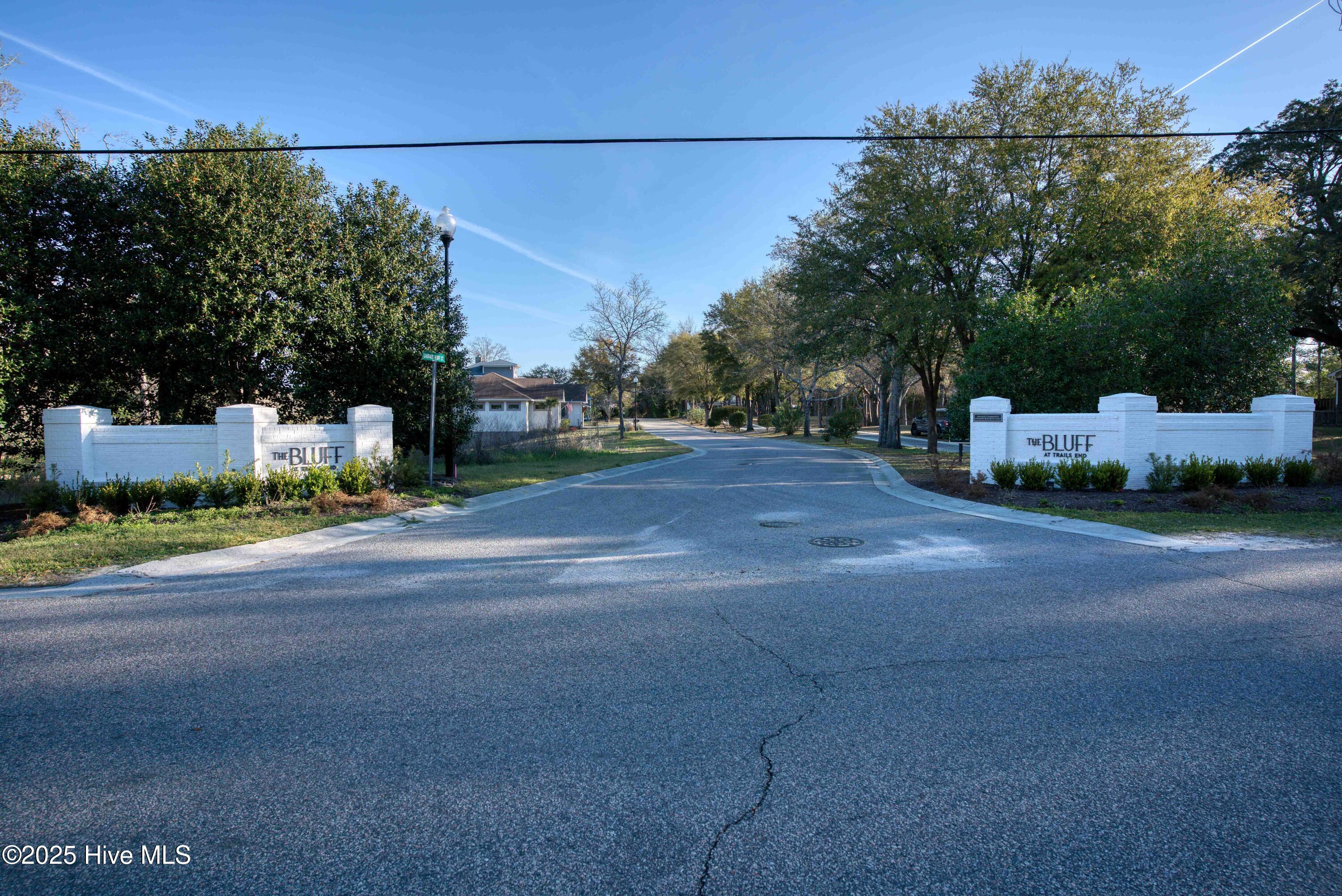 4326 Lauralis Bluff Court Property Photo 2