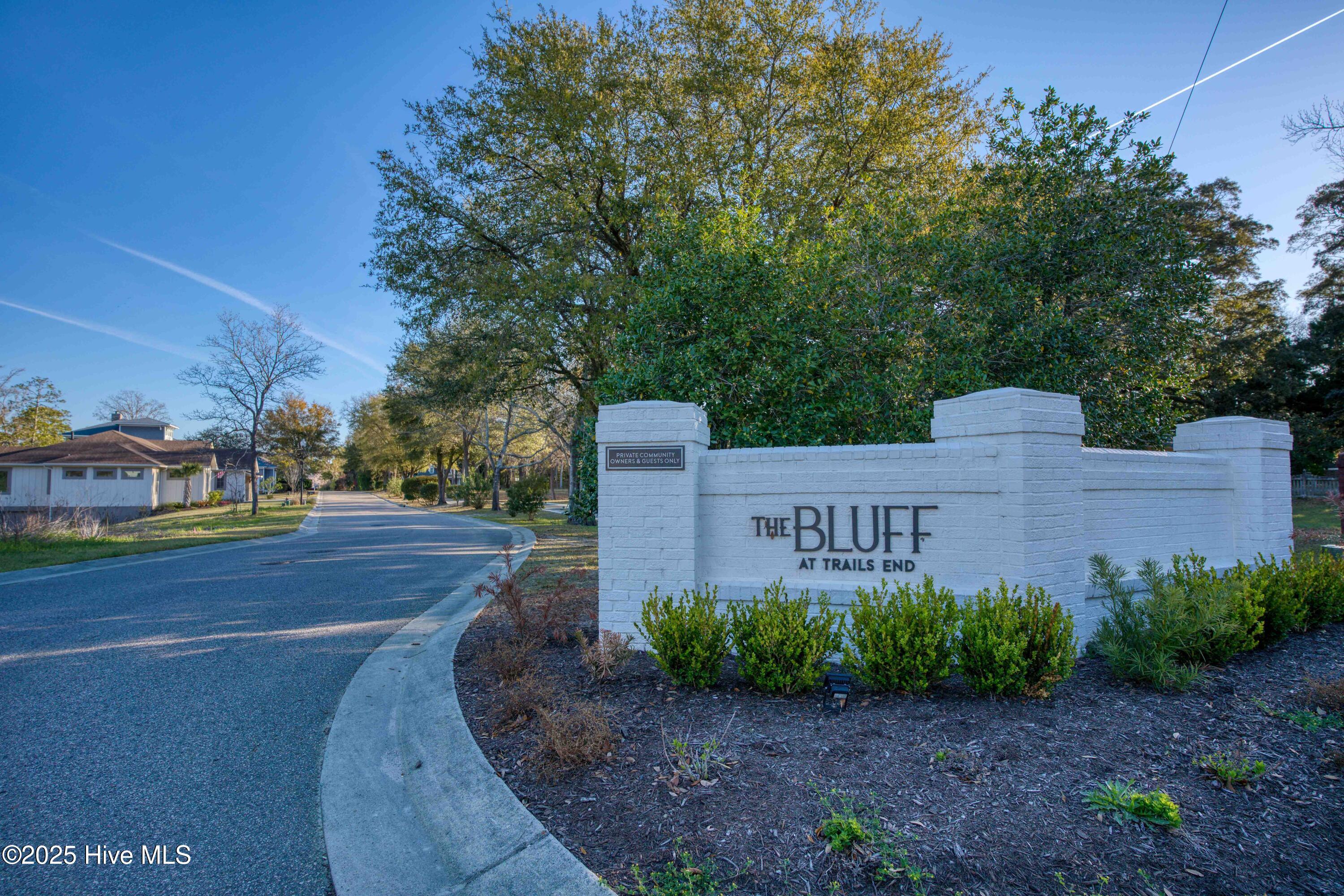4326 Lauralis Bluff Court Property Photo 3