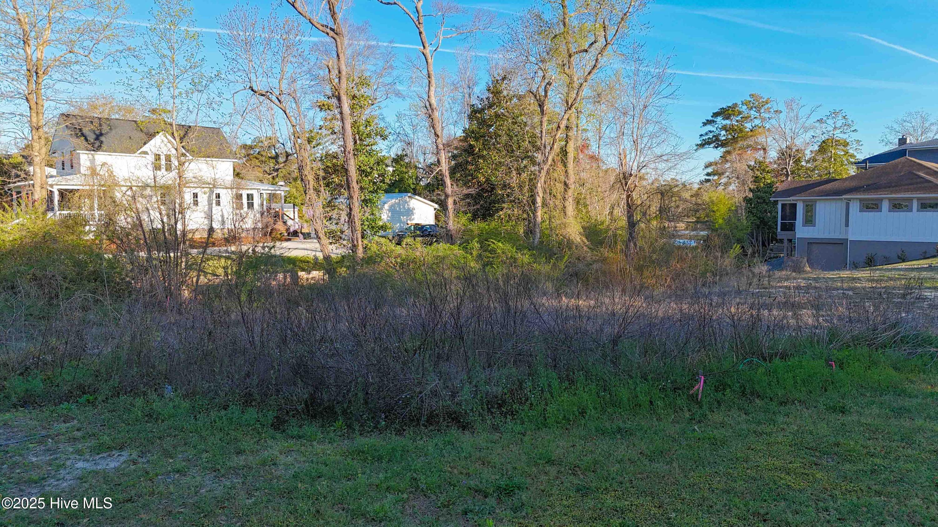 4326 Lauralis Bluff Court Property Photo 4