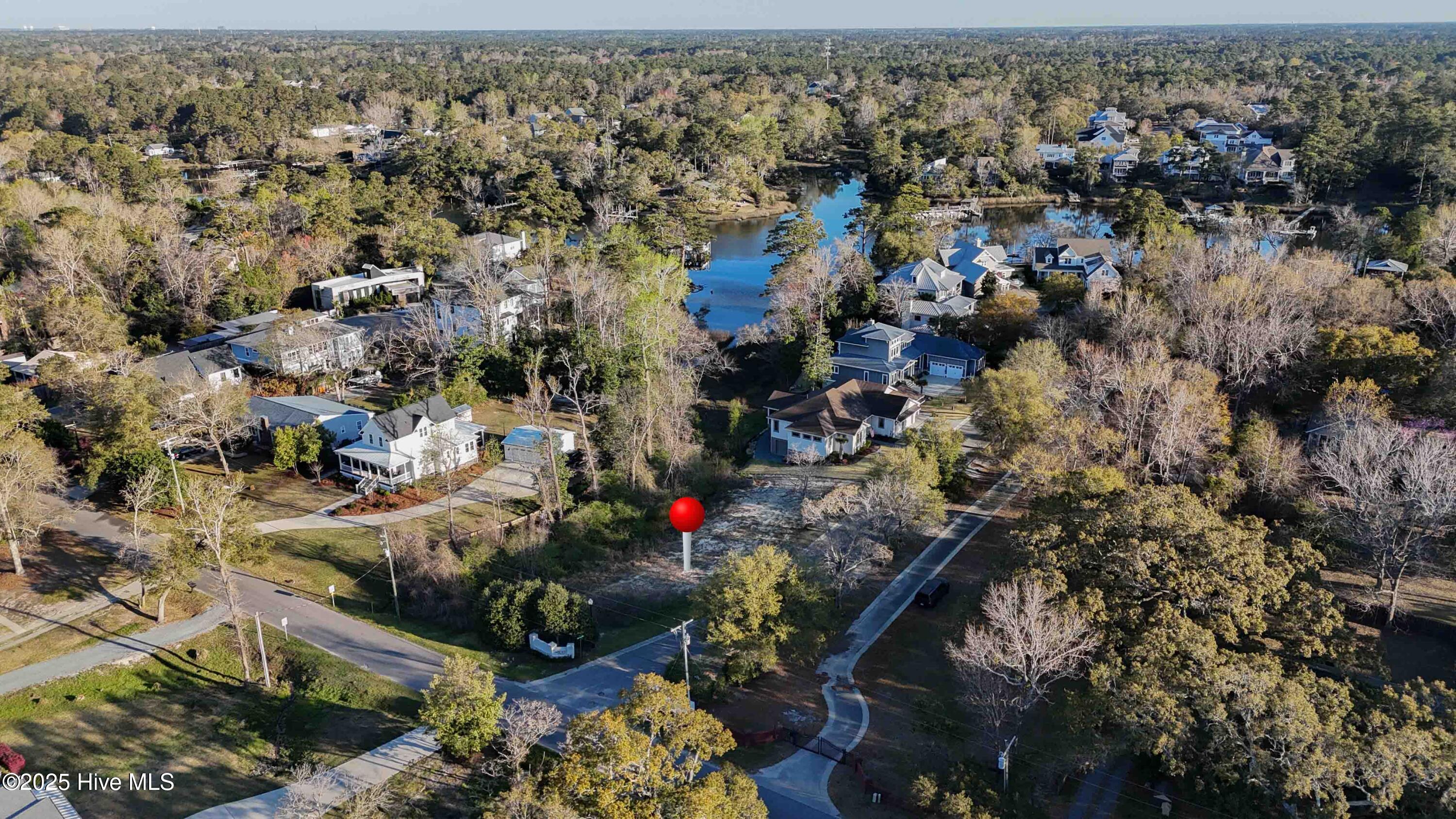 4326 Lauralis Bluff Court Property Photo 5