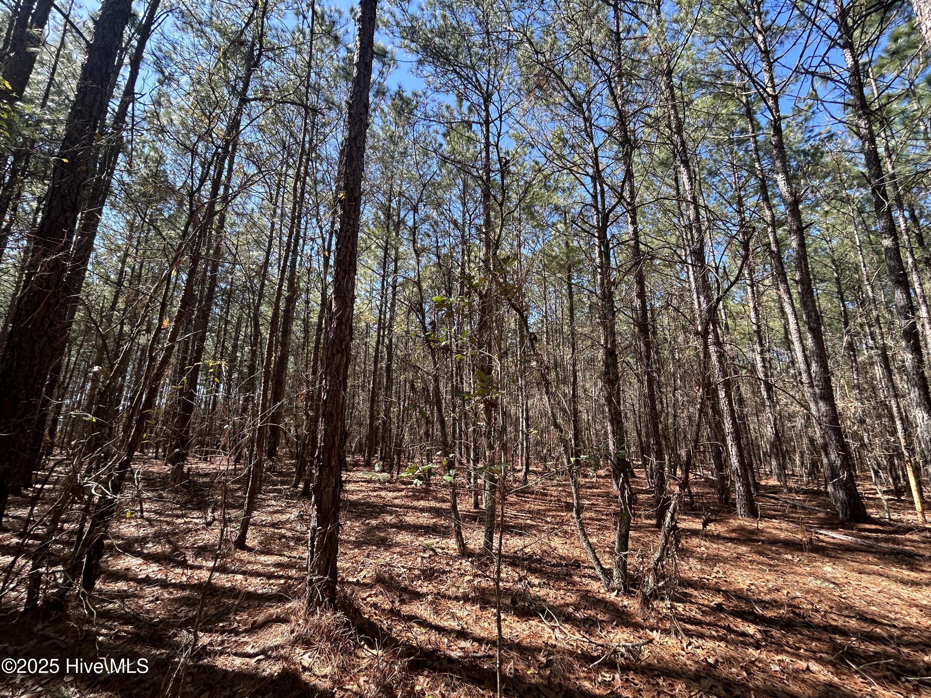 Tbd John Owen Road Property Photo 5