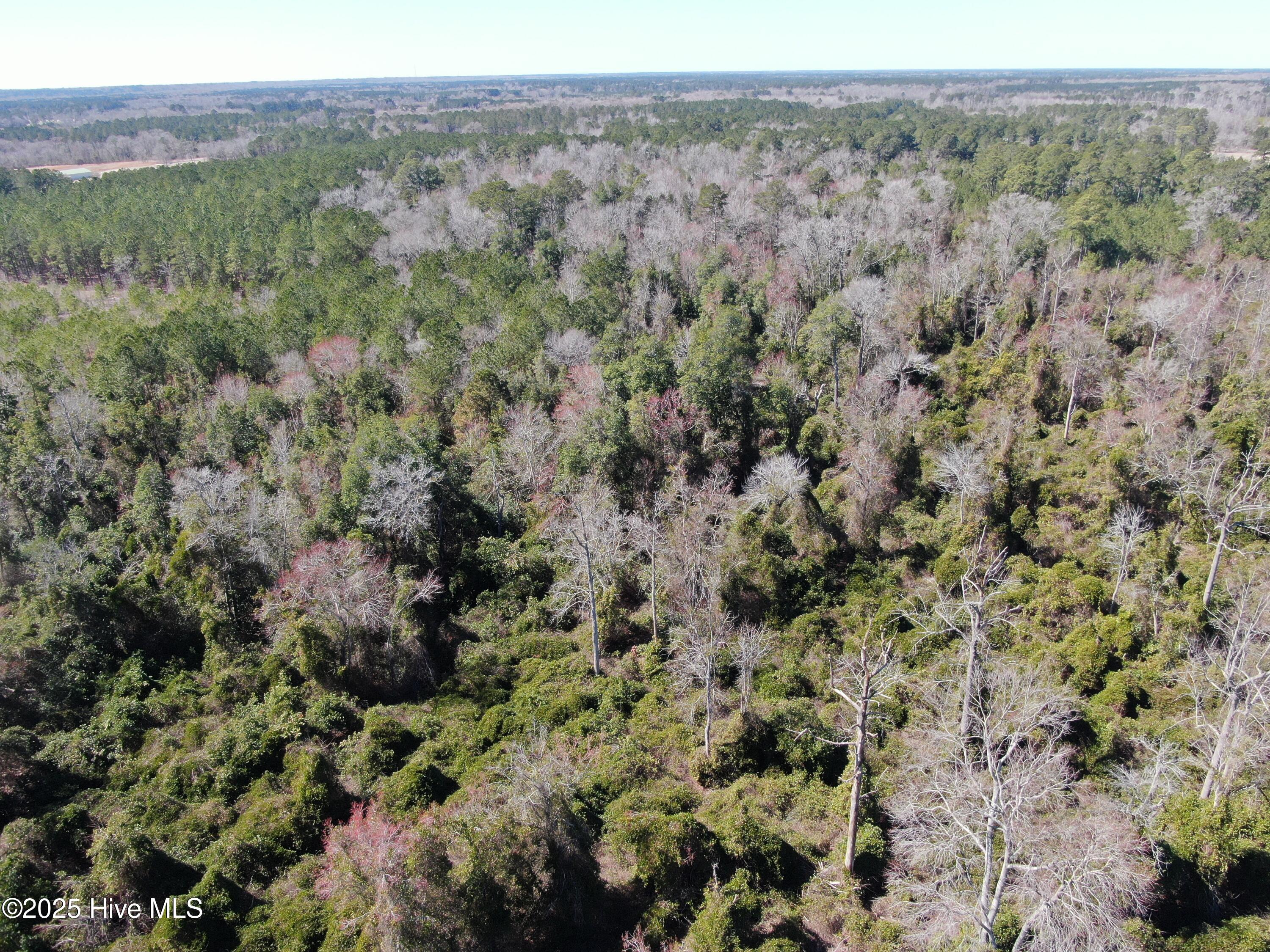 Tbd John Owen Road Property Photo 15