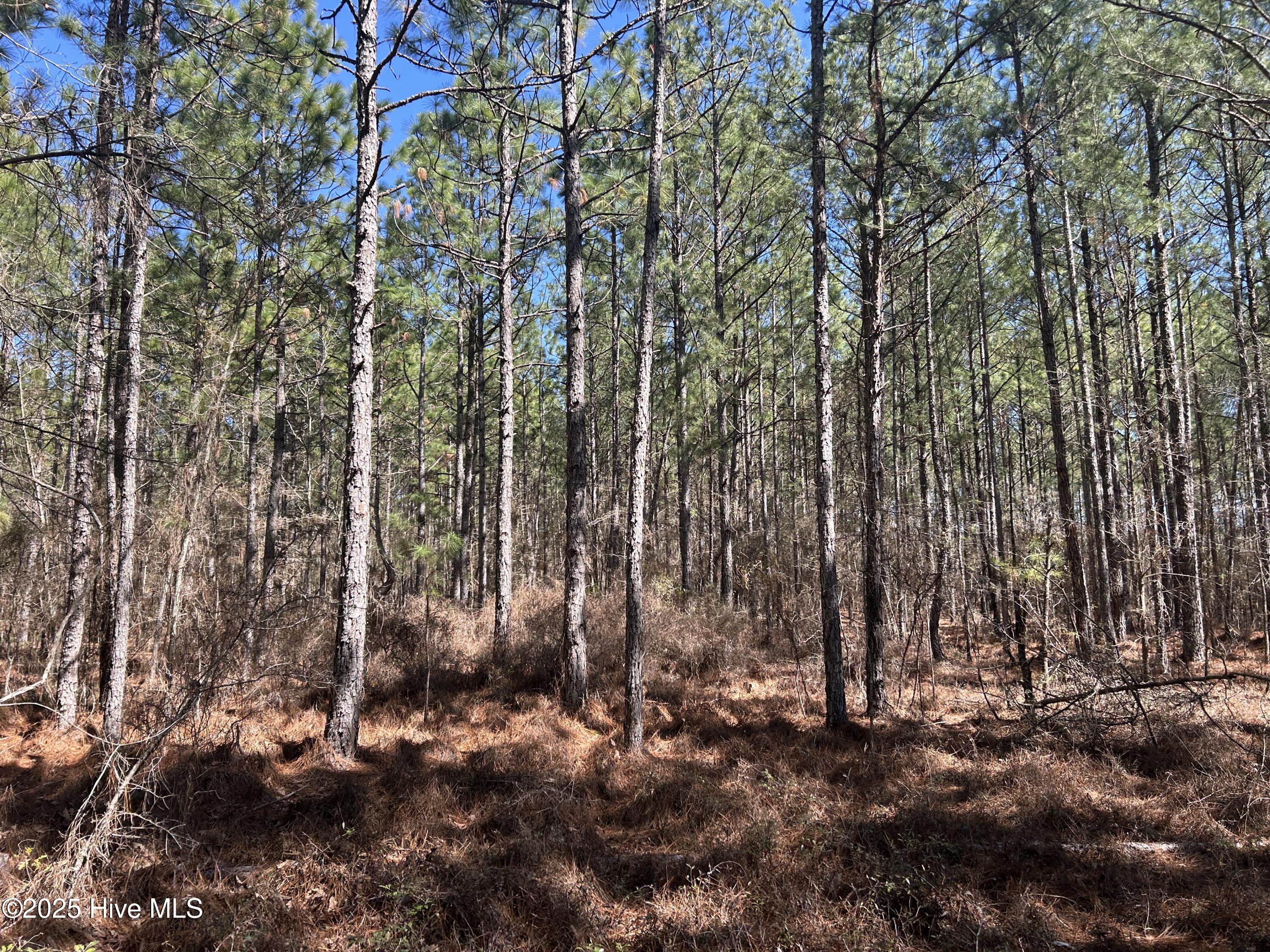 Tbd John Owen Road Property Photo 17